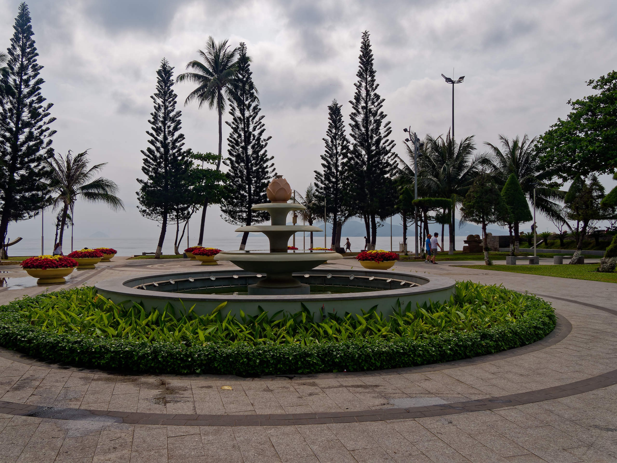 Нячанг 2025 (7). Избранные фотографии