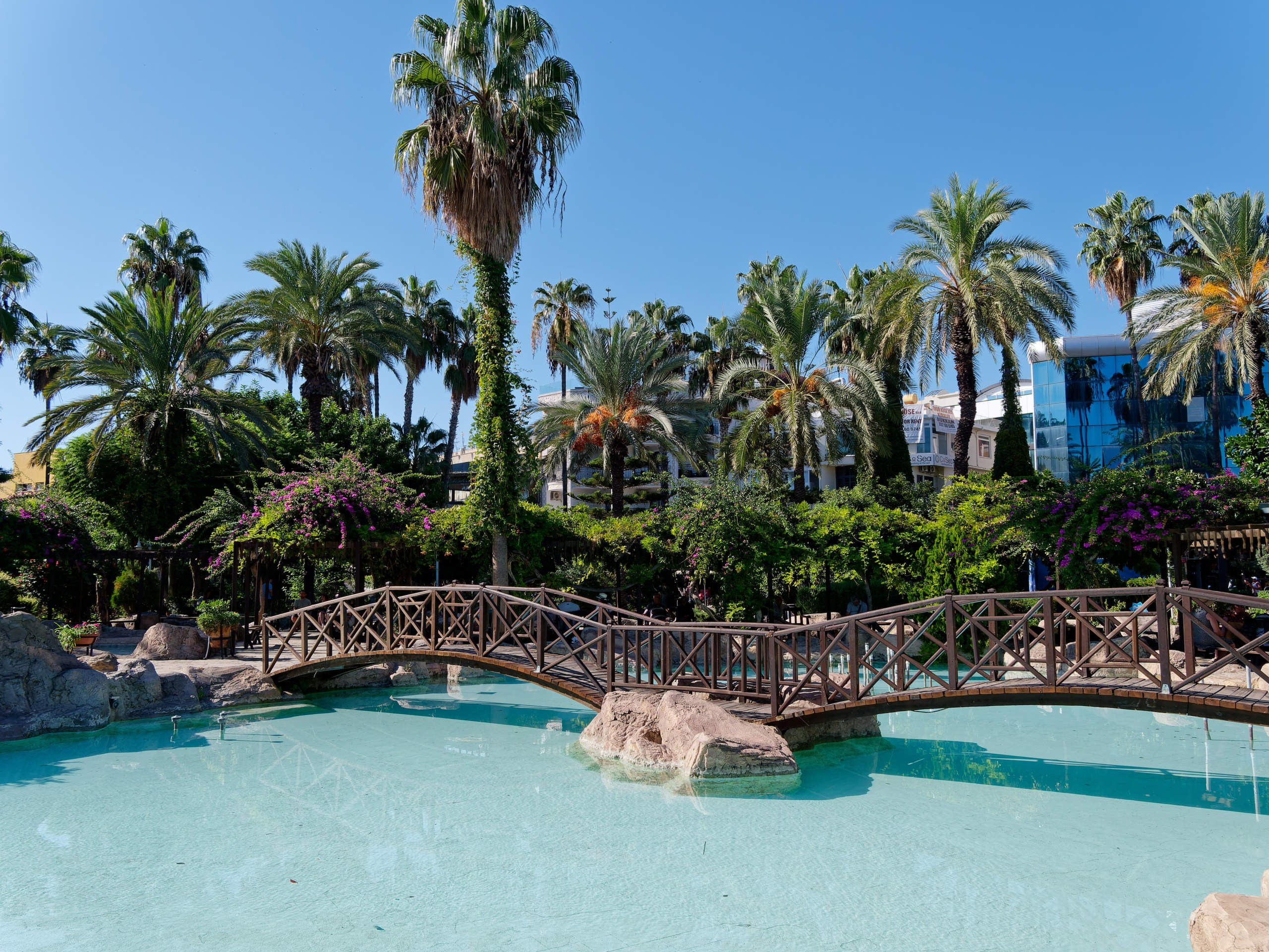 Алания 2025, город, стрит-фото. Избранные фотографии