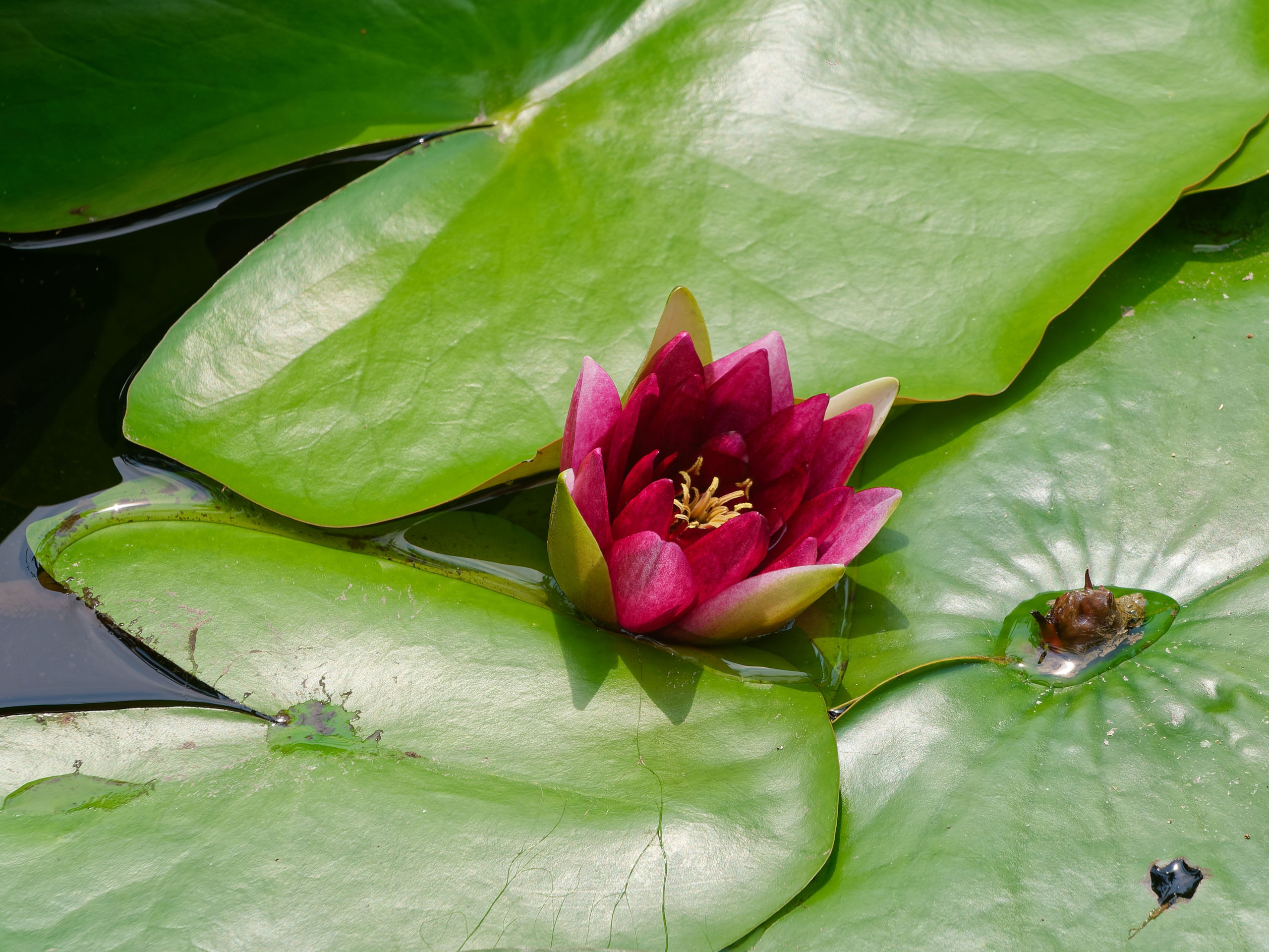 Хайнань 2026, отель «Stony Brook Villa Jianguo Resort Sanya 4*». Фотопрогулки по Миру