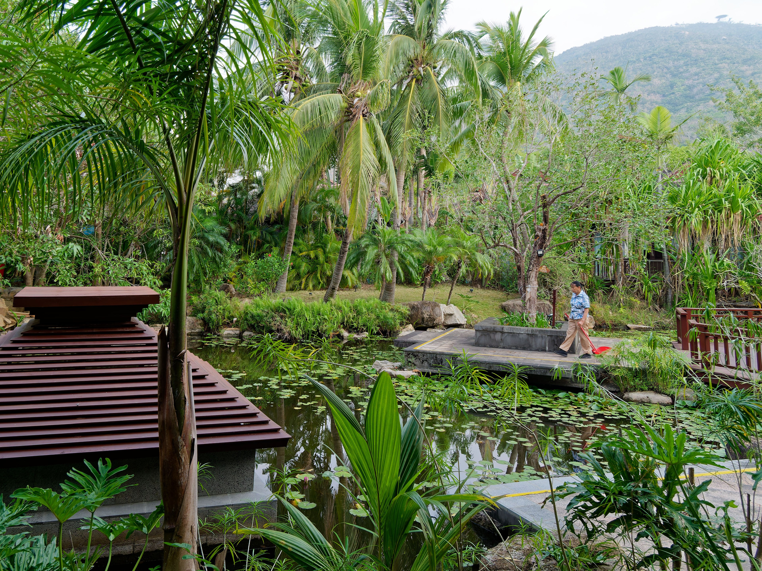 Хайнань 2026, первые впечатления. Фотопрогулки по Миру