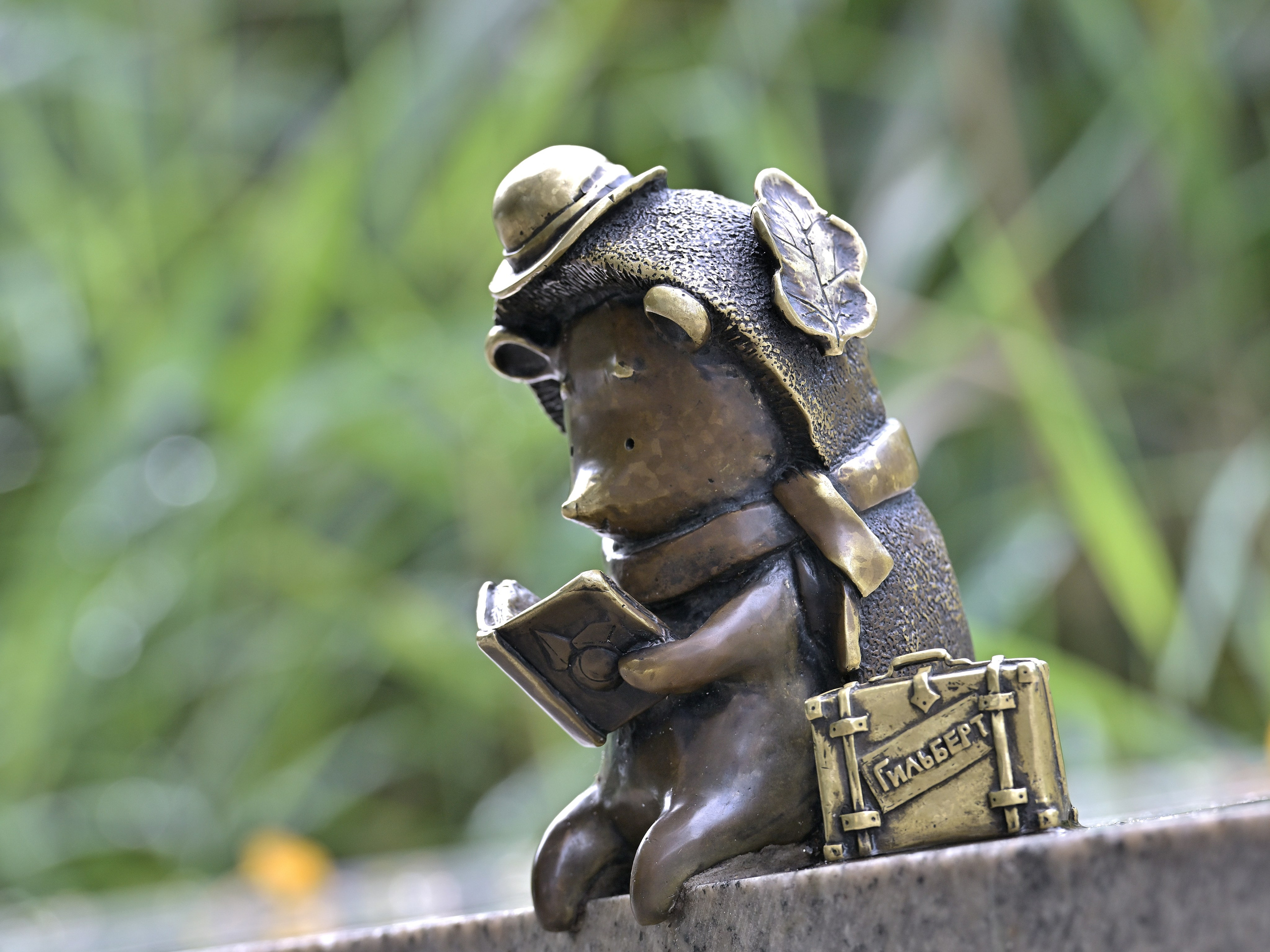 Сергей Люльченко фотоальбом