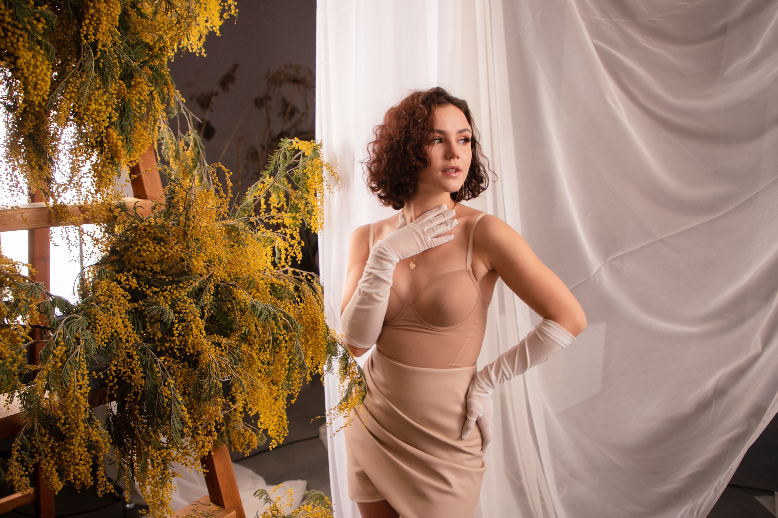 Мимозы. Фотограф Алексей Шуля — портфолио