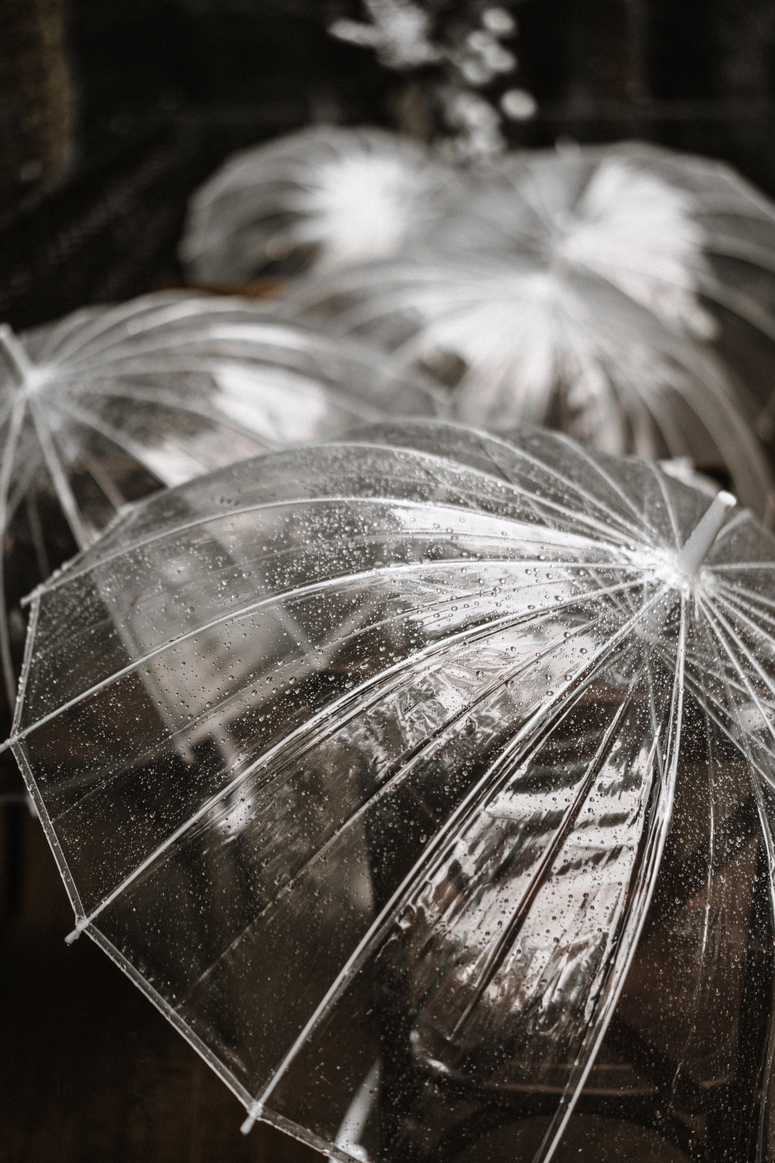 Прячься! Дождь идёт. Сочи. 2024. Никита Погосов