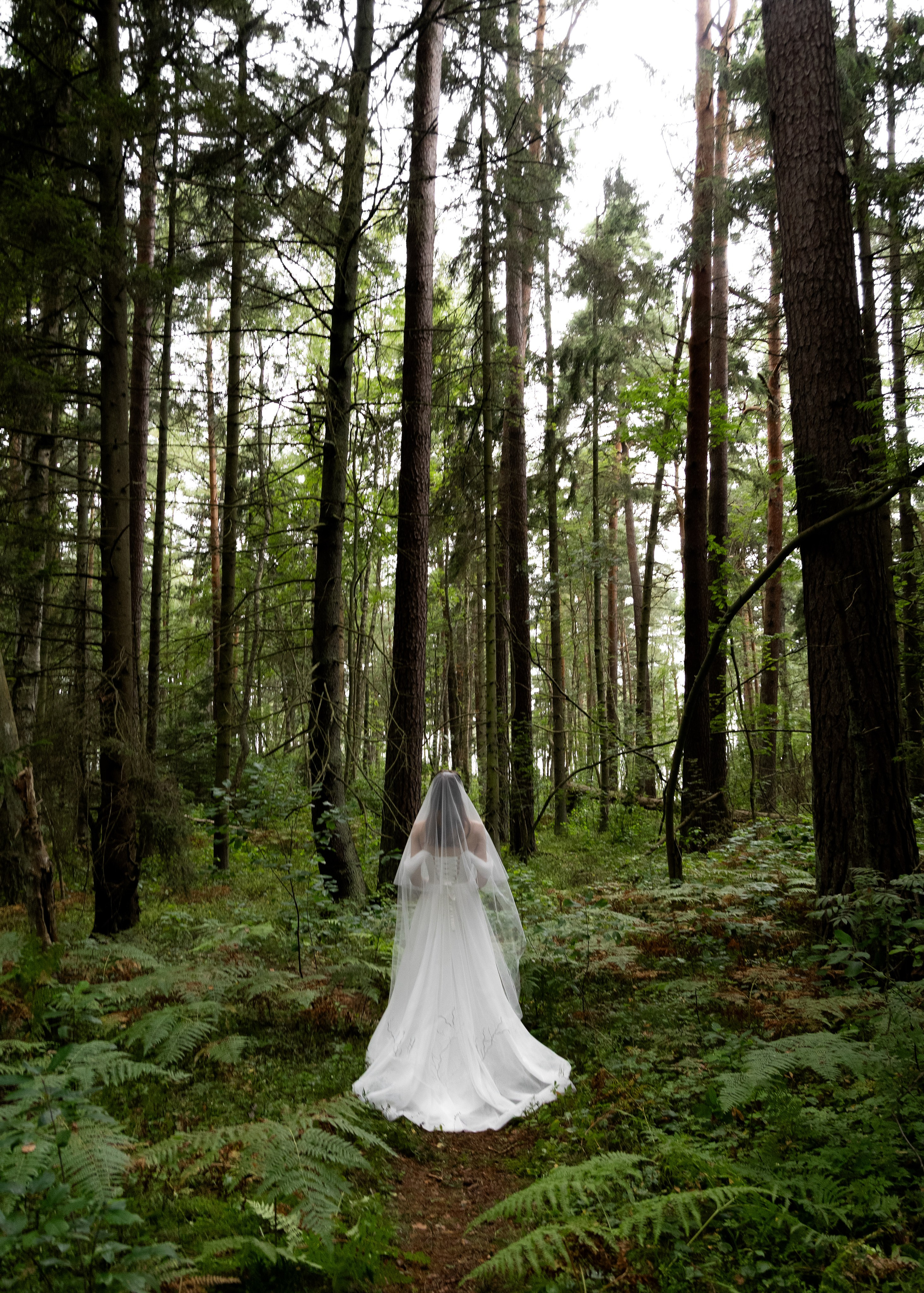 Денис & Дарья | в лесу. Фотограф в Калининграде Сокирко Светлана