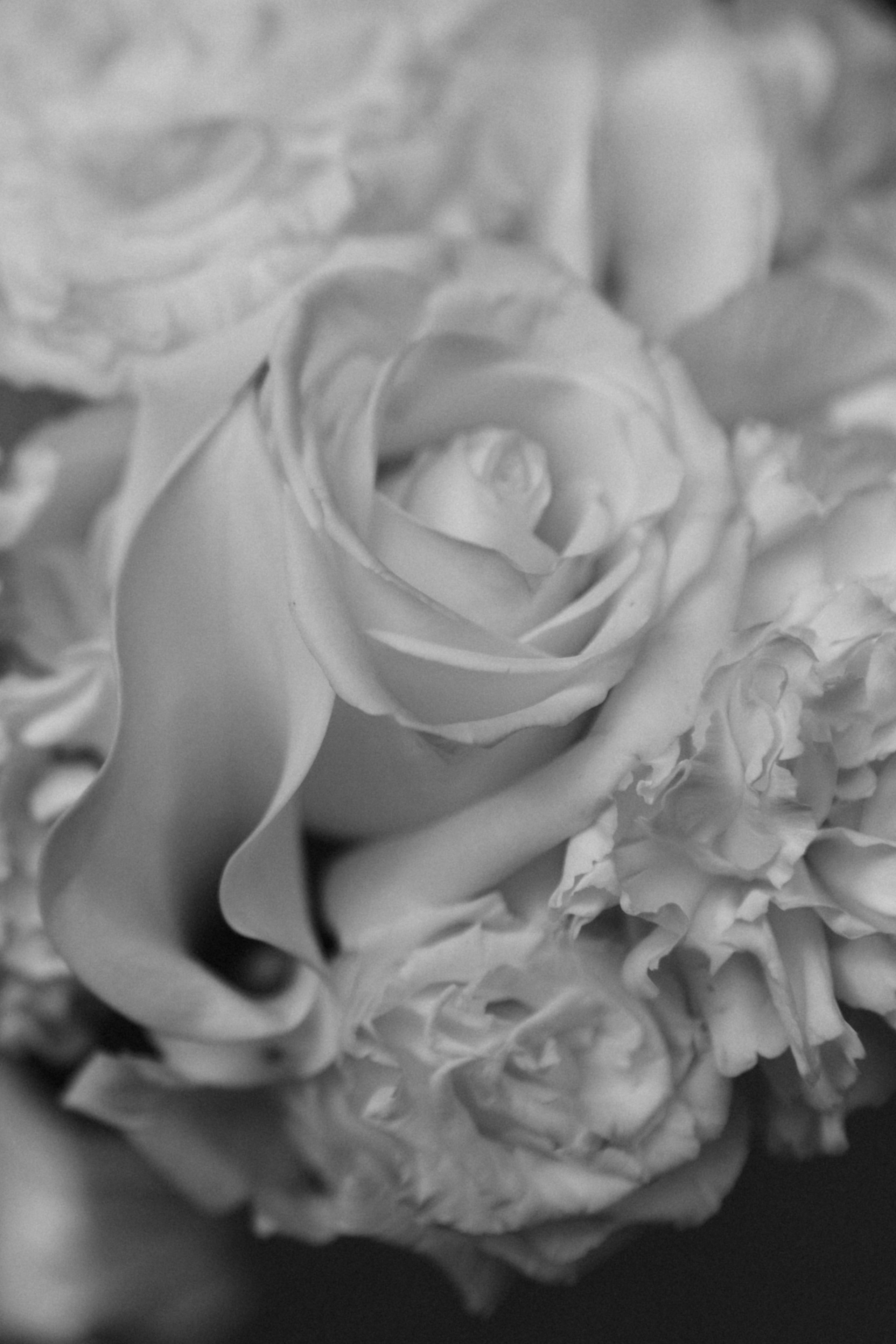 Elya & Ivan. Свадебный, семейный и портретный фотограф в Москве, Санкт-Петербурге