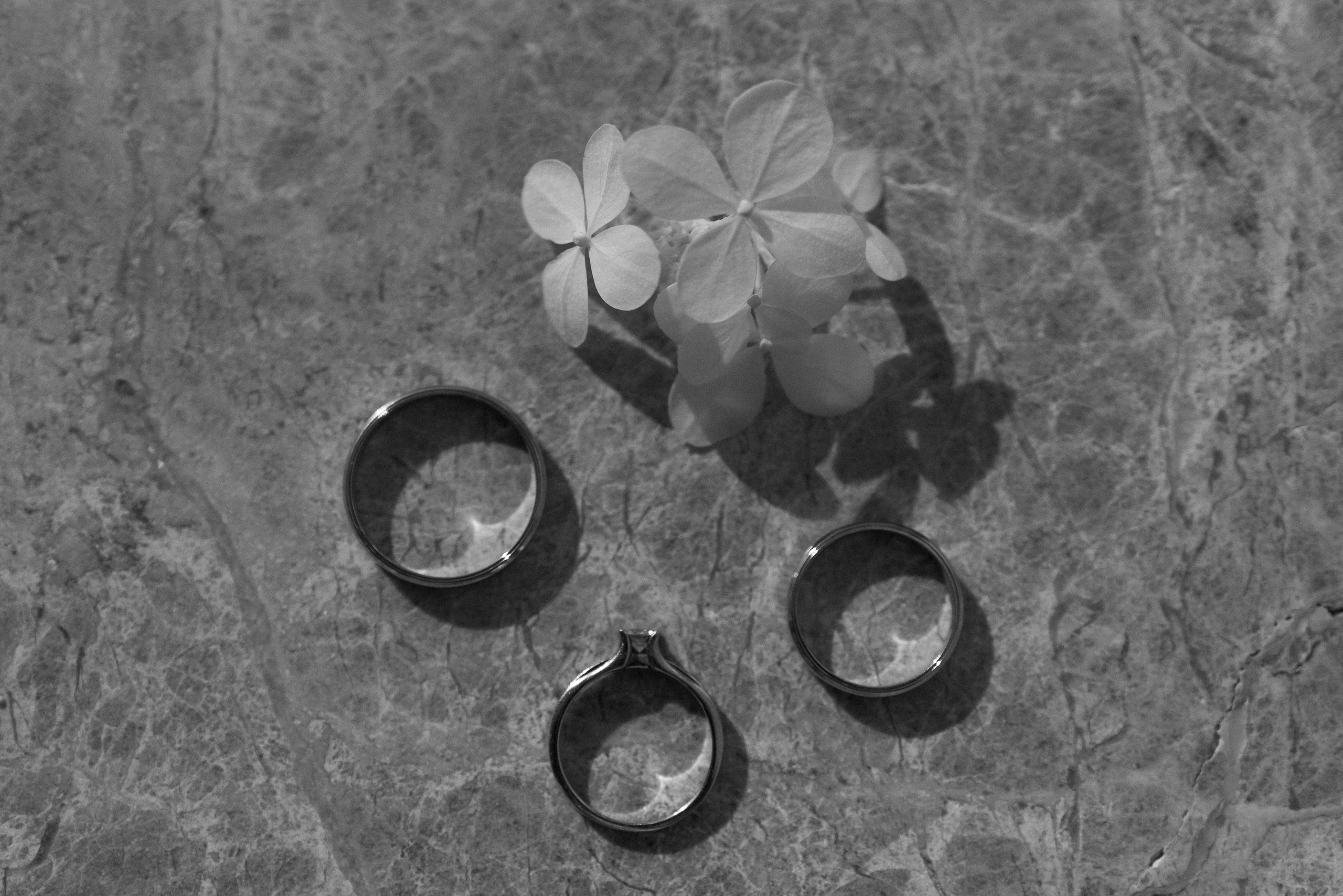 Alena & Sergei. Свадебный, семейный и портретный фотограф в Москве, Санкт-Петербурге