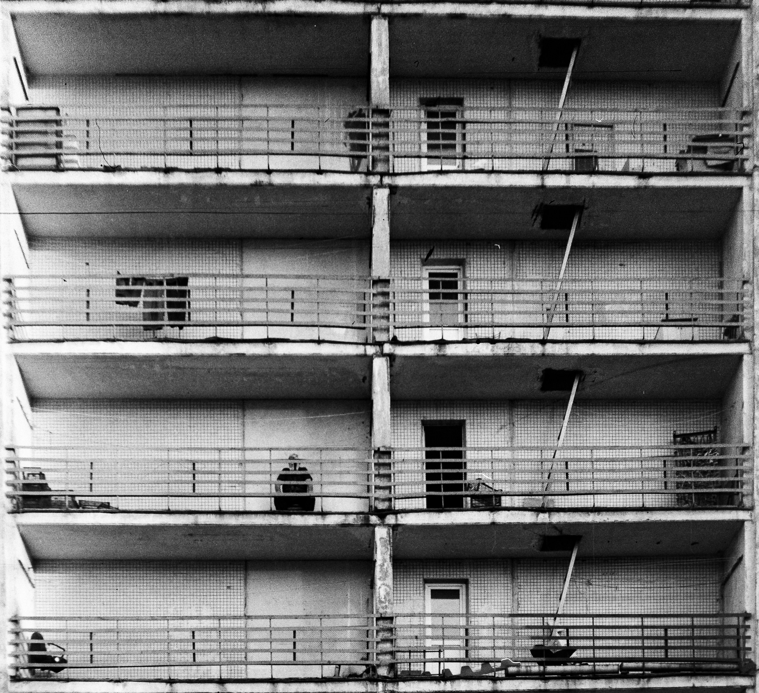 Landscape+. Arseny Sapelkin