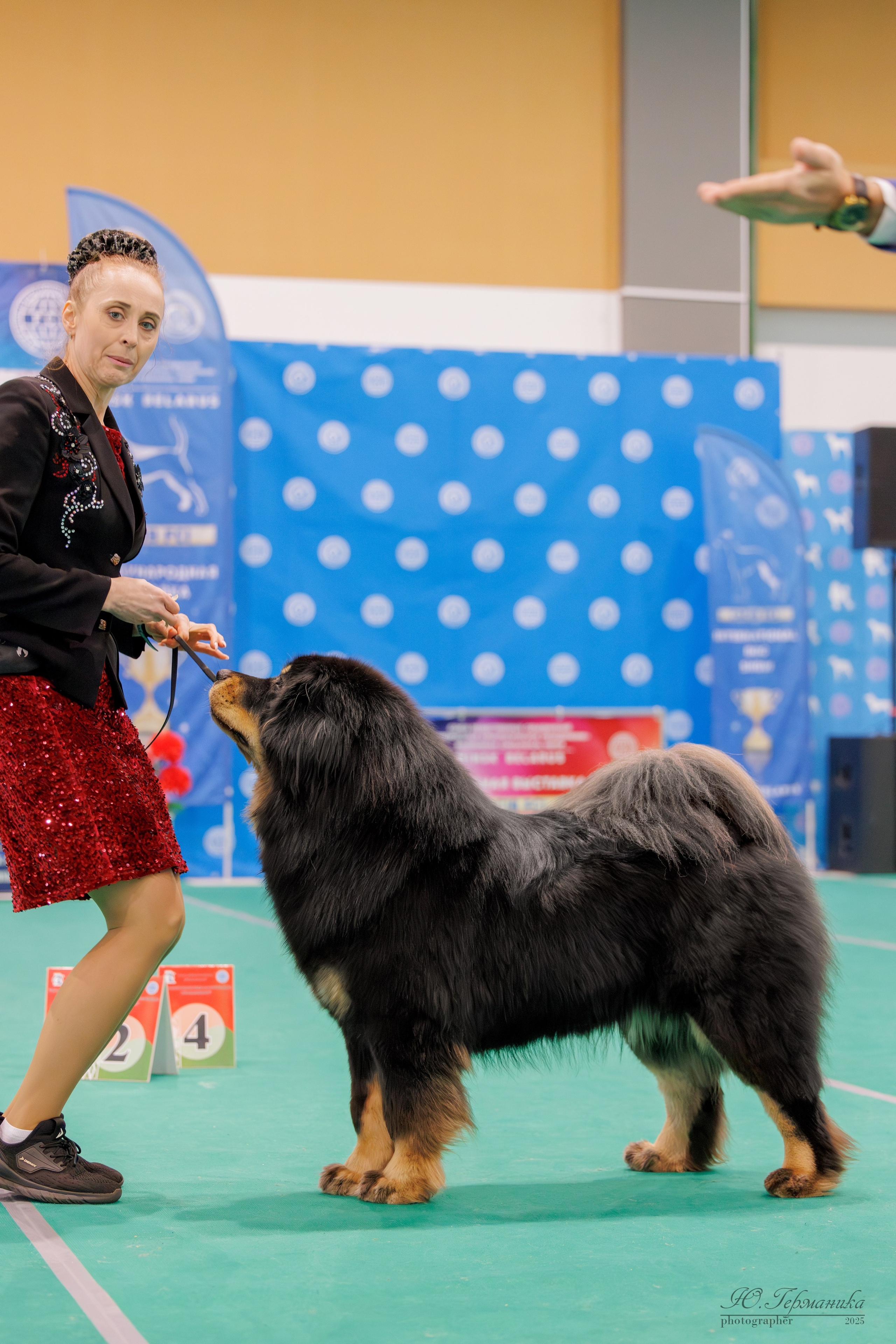 Минск 1-2.03.2025. Фотограф-анималист Юлия Германика