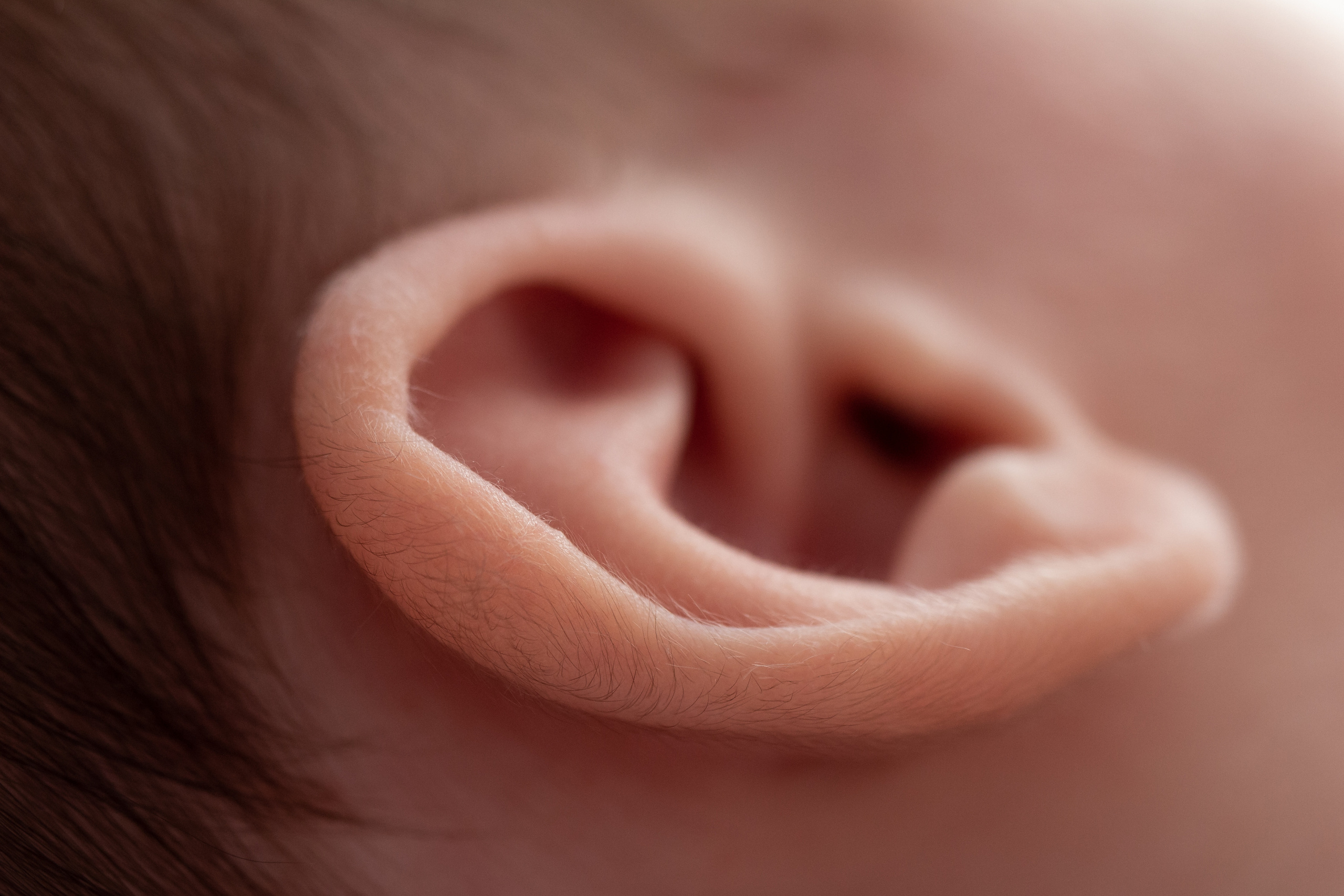 Классический стиль newborn. Фотограф новорождённых Анапа Елена Кушнарь