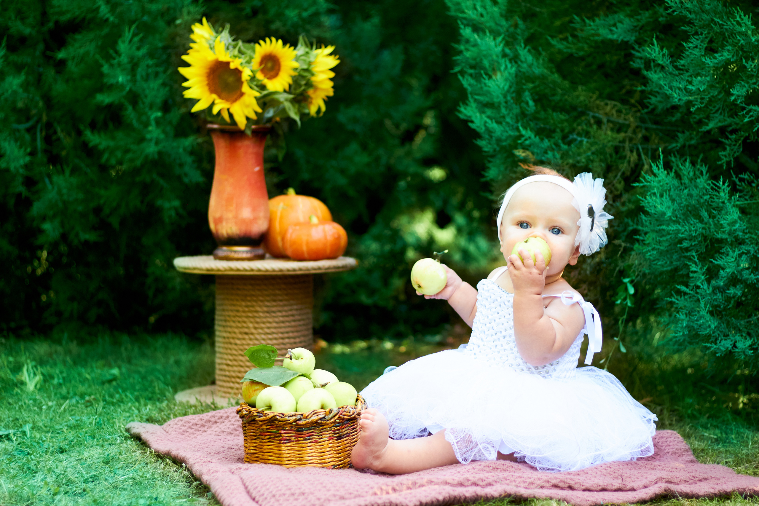 От 6 до 12 месяцев. Фотограф новорождённых Анапа Елена Кушнарь