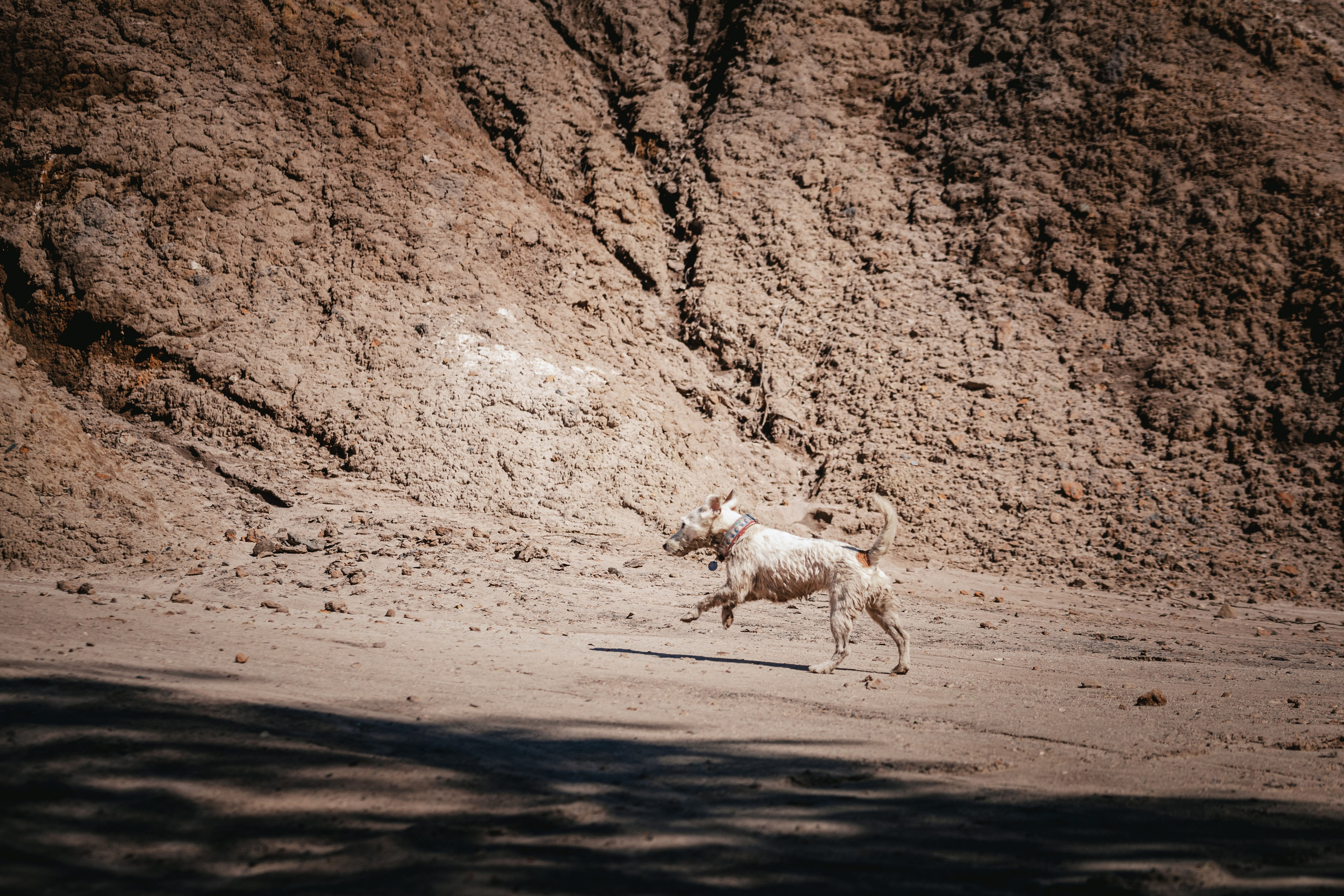Кондуки. Фотограф-анималист Татьяна Степанова