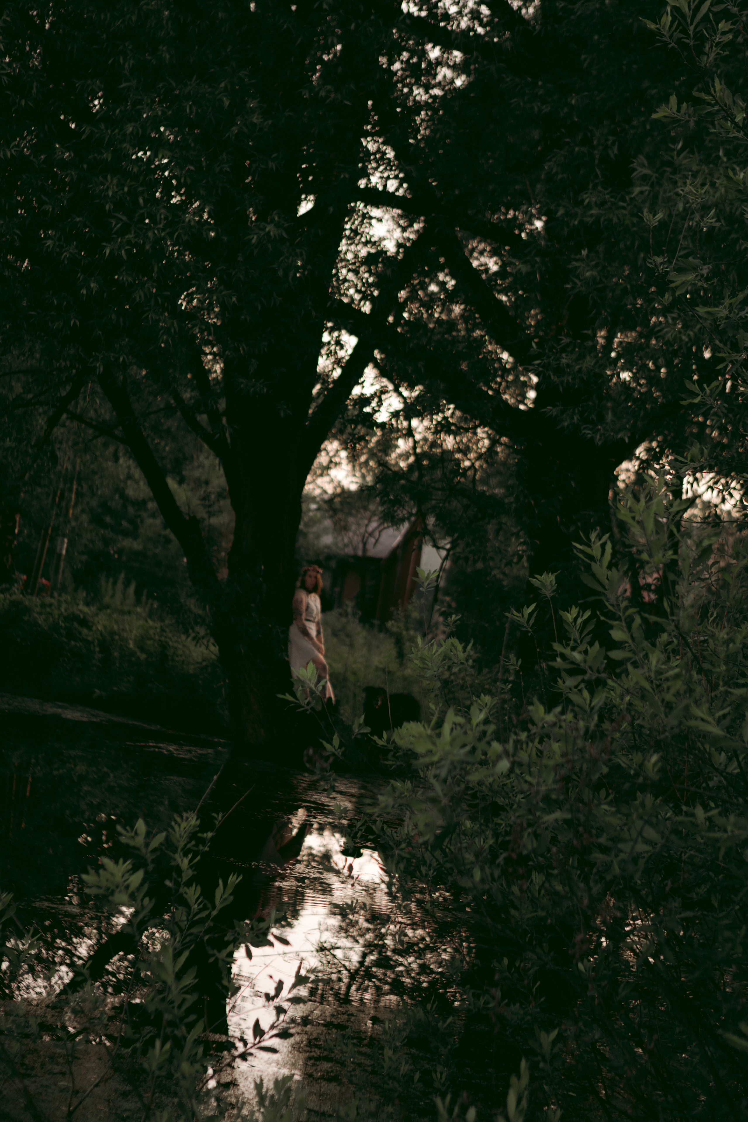 Алёна и Феликс. Про вас, самых близких и хвостиков. Фотограф на Кипре, Ксения Бурдель