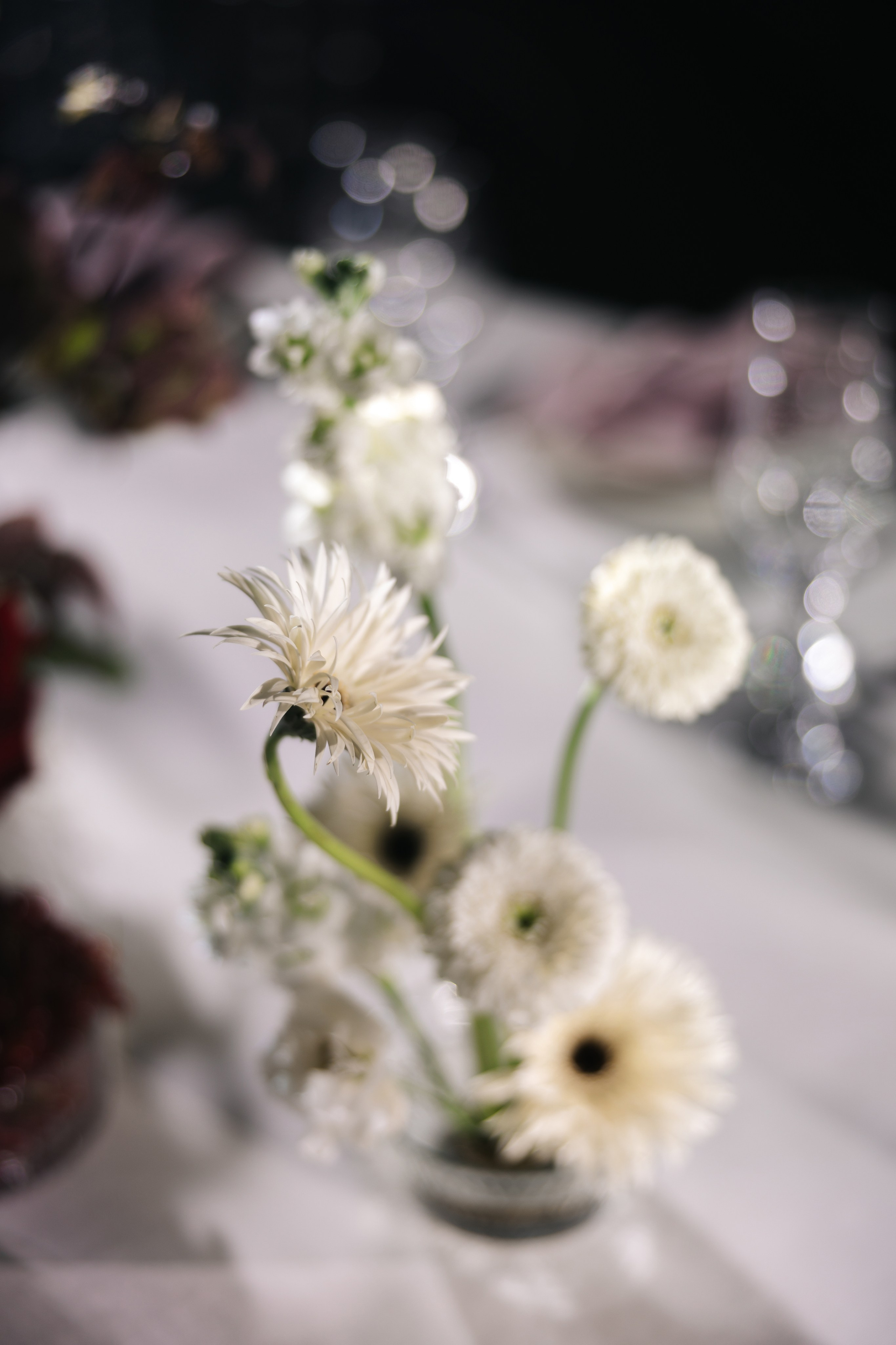 Roma & Anastasia. Свадебный фотограф Москва Мотеюнайте Виктория