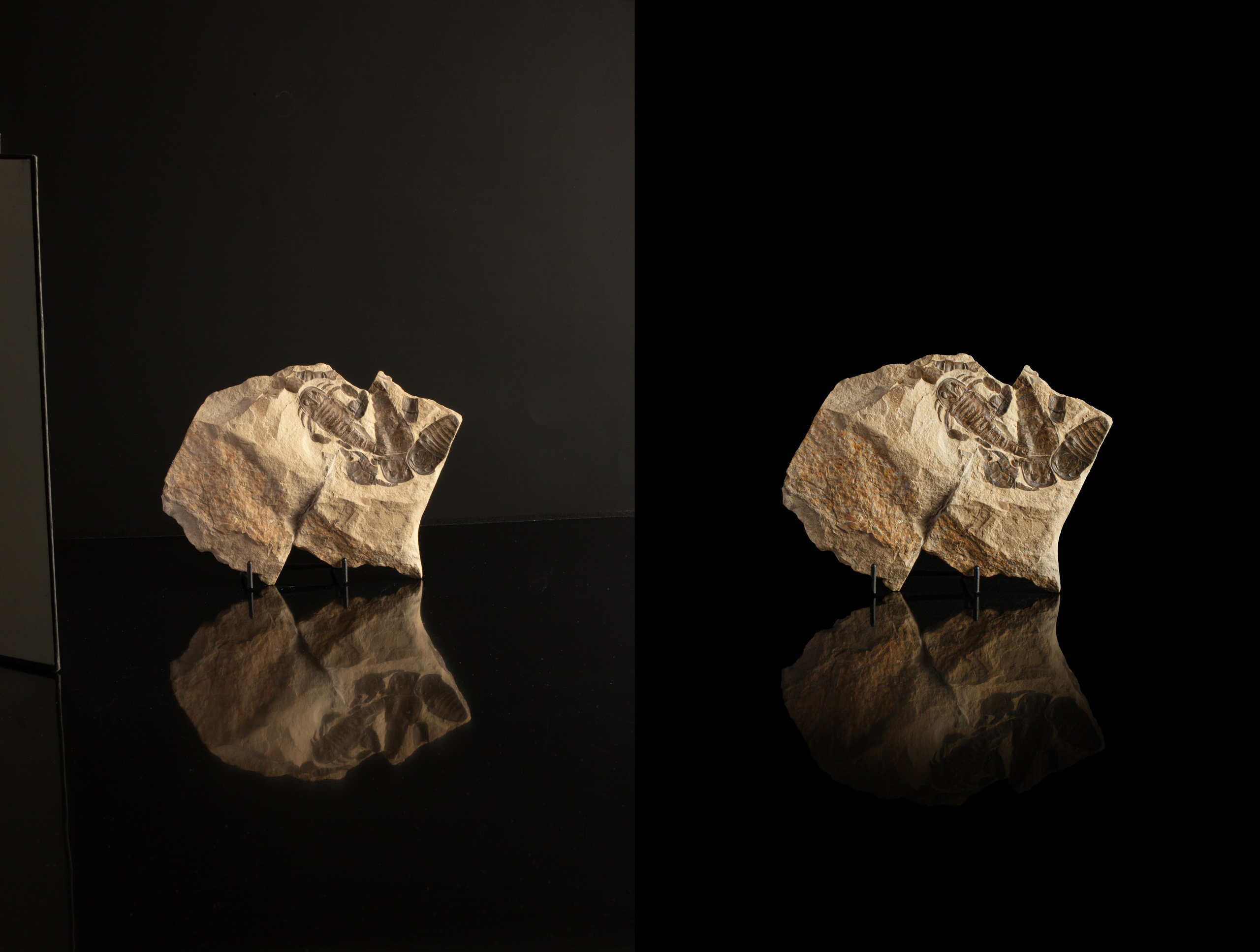 Предметы коллекционирования