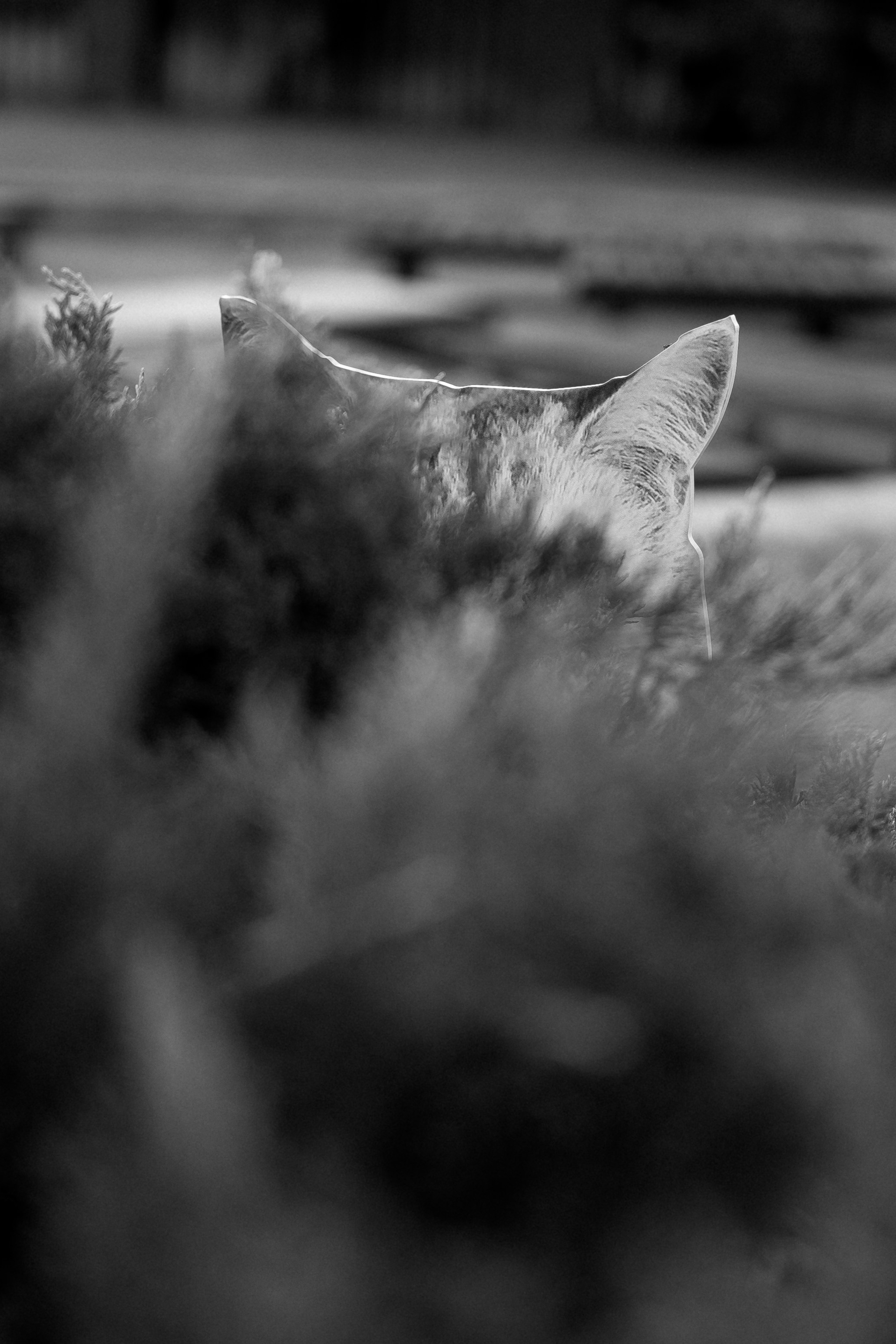 К+А Полный день (сокращено). Семейный и портретный фотограф в Саратове Сахарова Маша