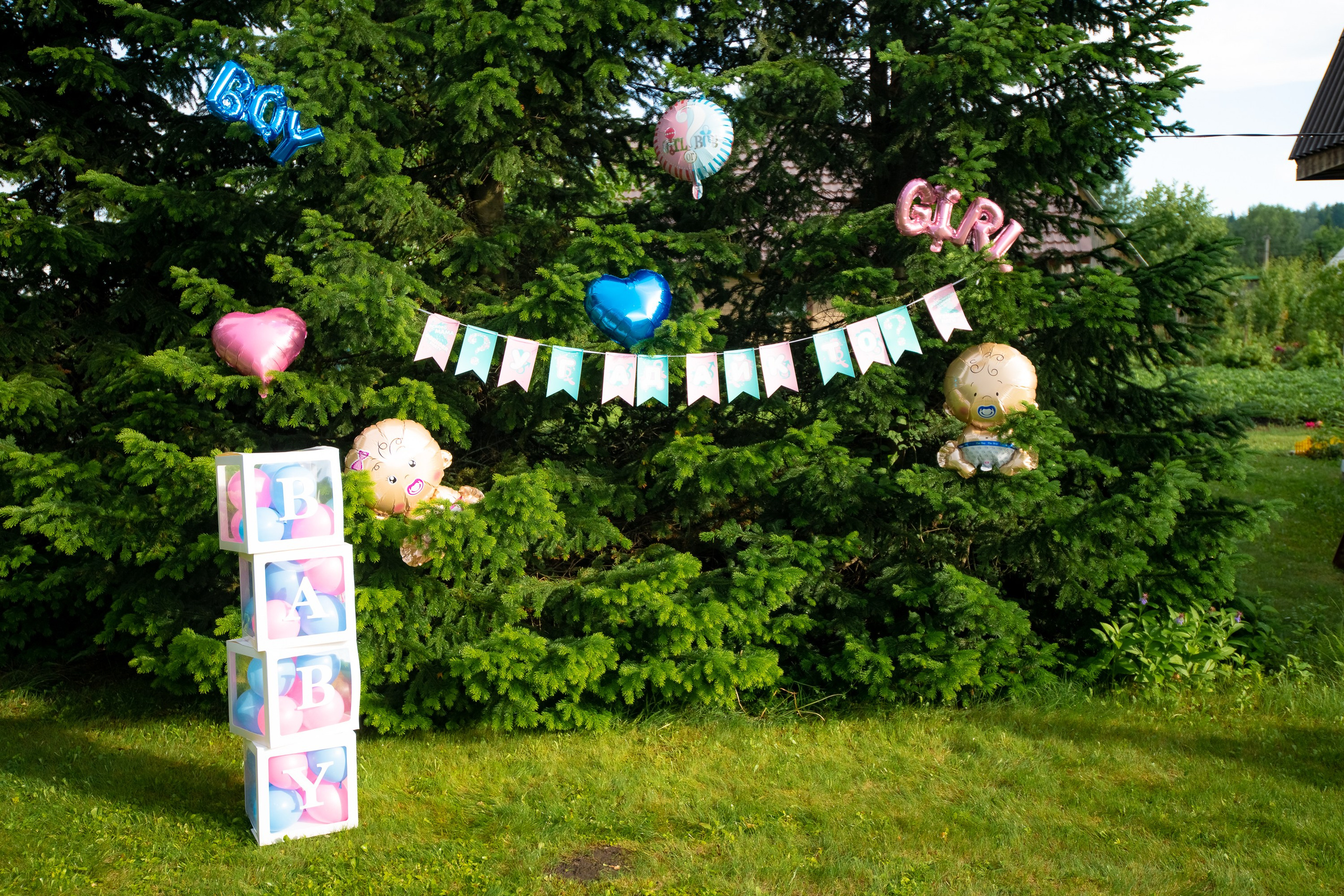 Гендер-пати. ProfotoNK