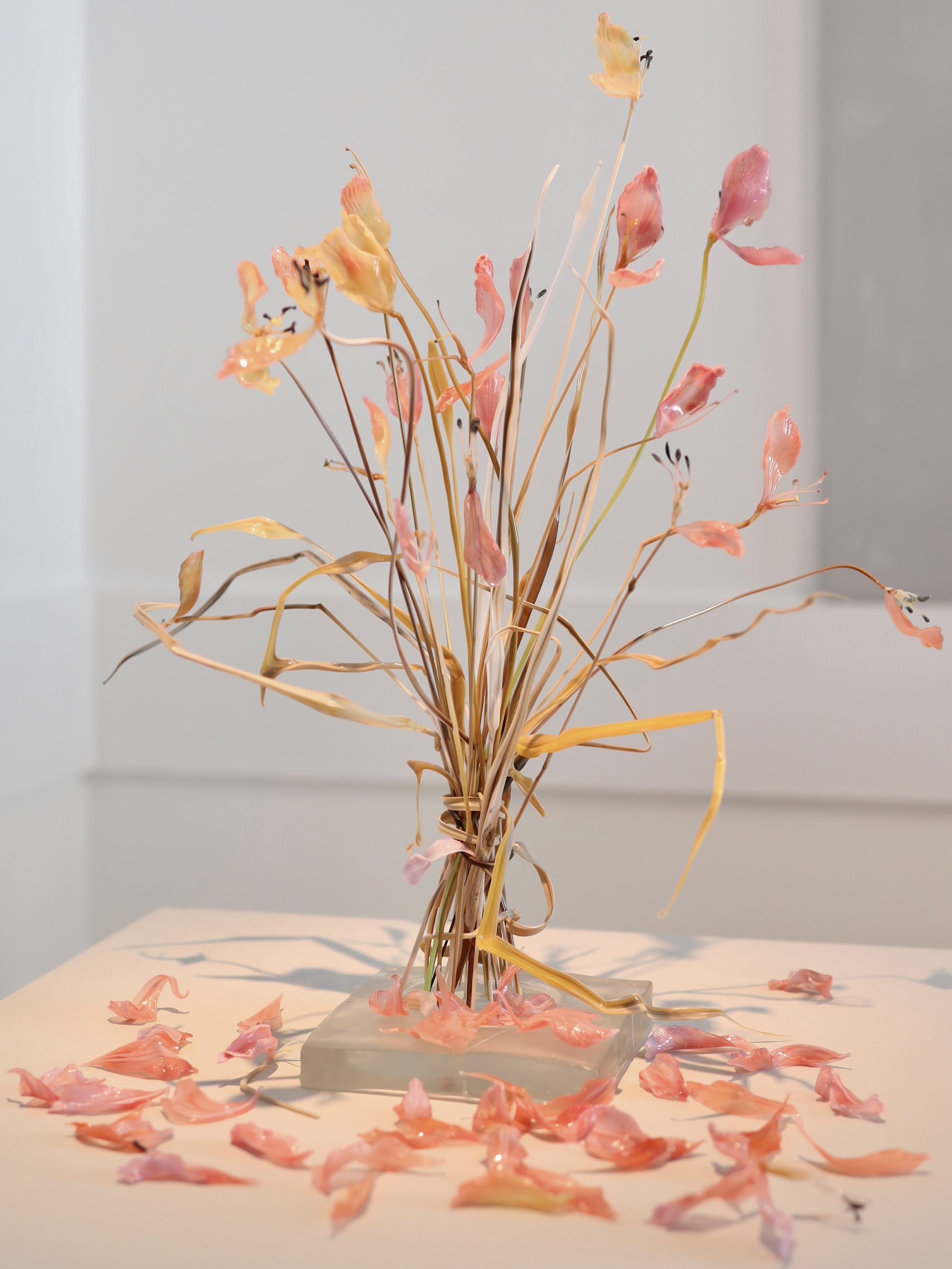 Выставка Степени прозрачности. Фотосессии и репортаж — Фотограф в Москве — Рина Серёгина