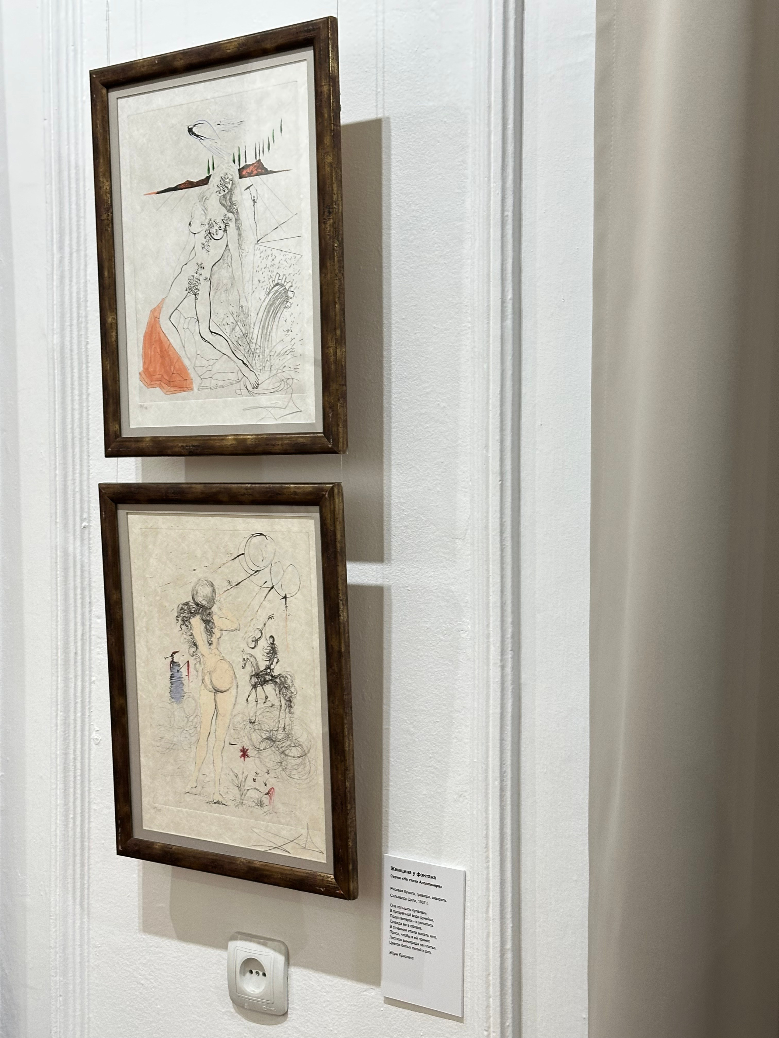 Выставка Дали & Пикассо. Фотосессии и репортаж — Фотограф в Москве — Рина Серёгина