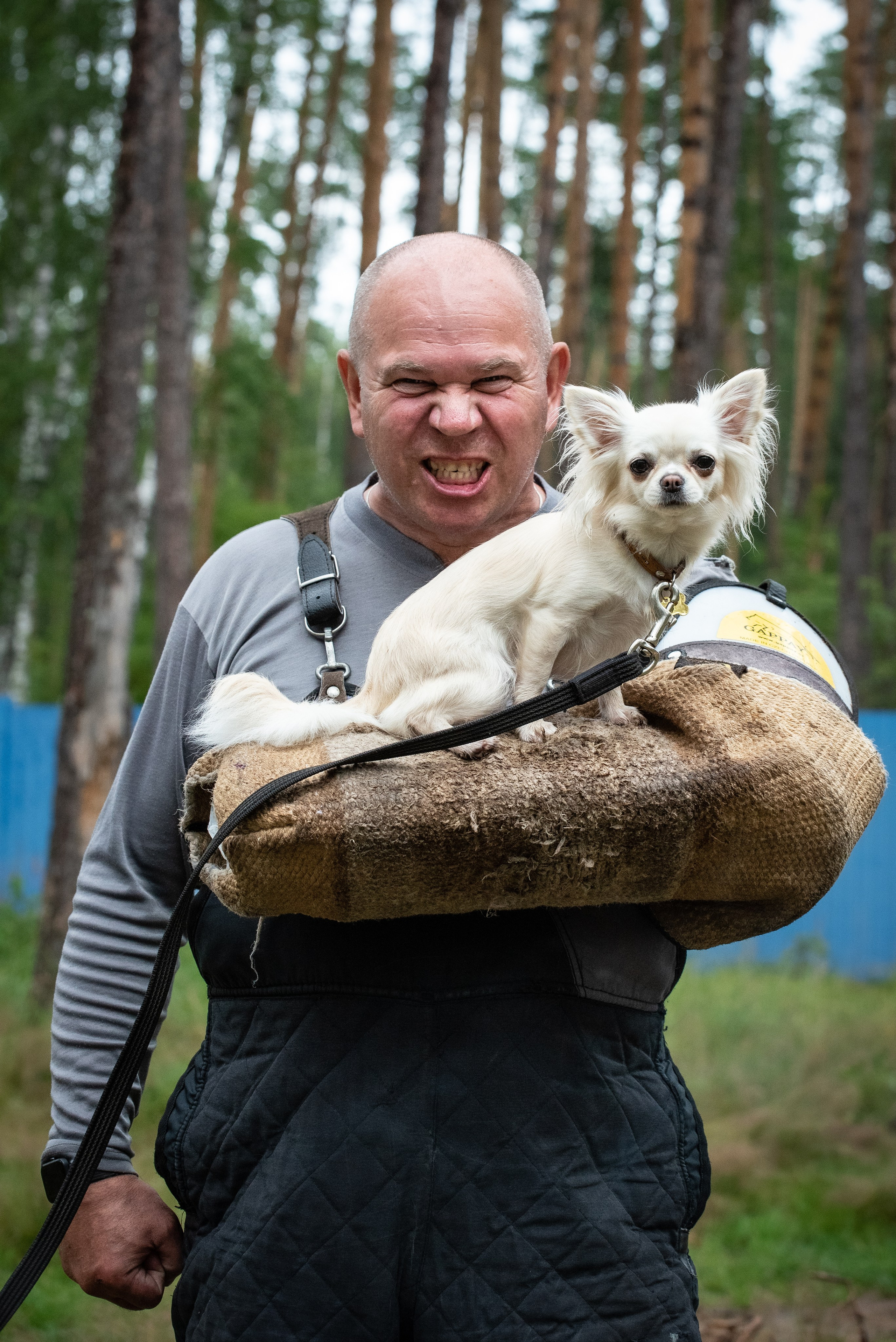 Всплеск эмоций 2023 Кинологический фестиваль. Фотограф Макс Огурцов в Нижнем Новгороде