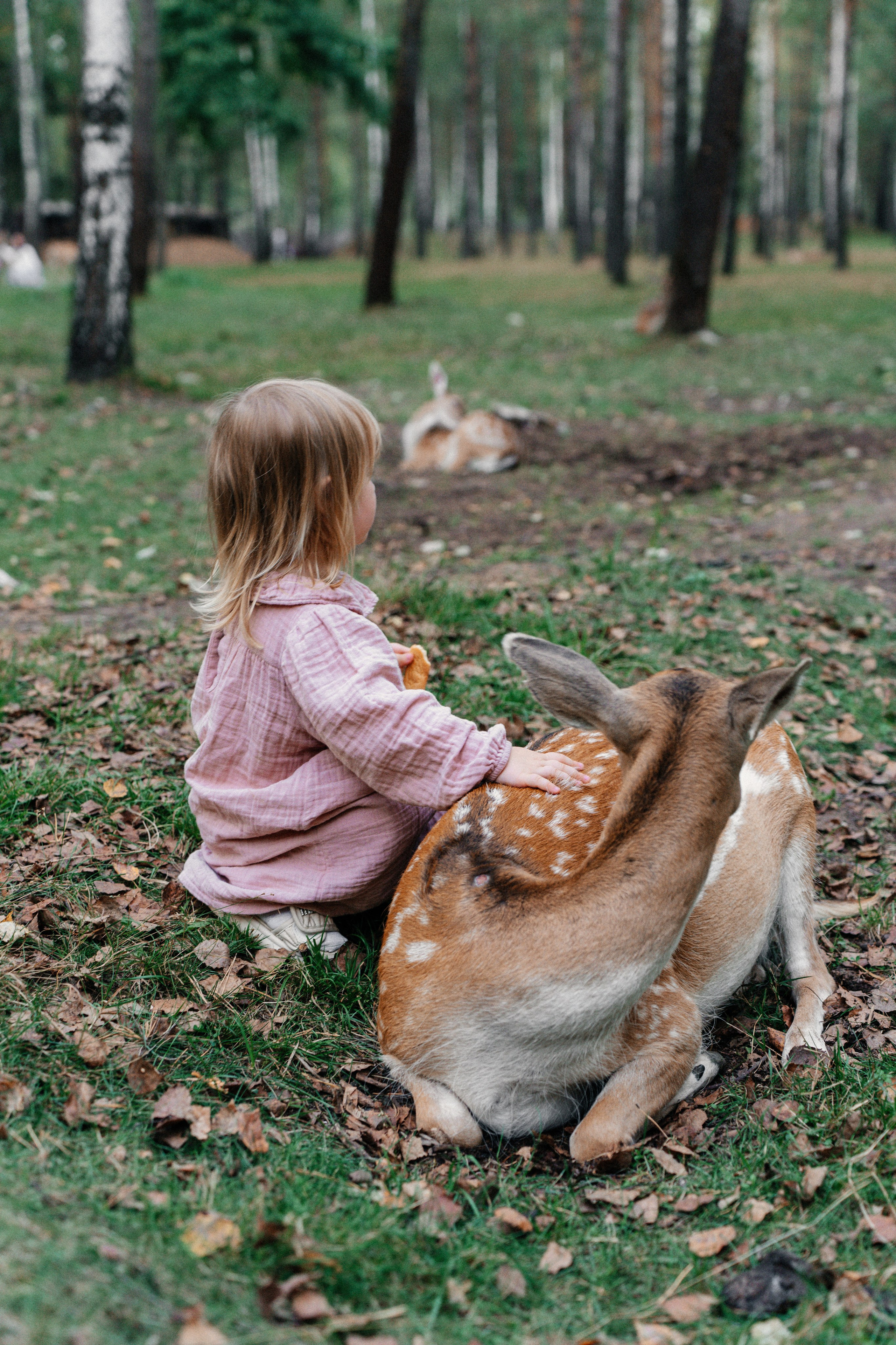 Диприз — в мире диких животных. Ваш семейный фотограф в Минске — Вика Трегубова