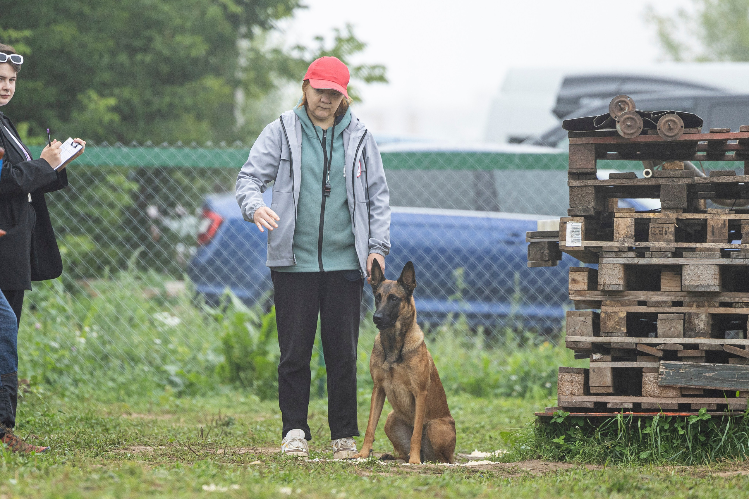 Соревнования по Мондьорингу г. Вологда 10-11.08.2024. Фотограф-анималист Анна Маринич