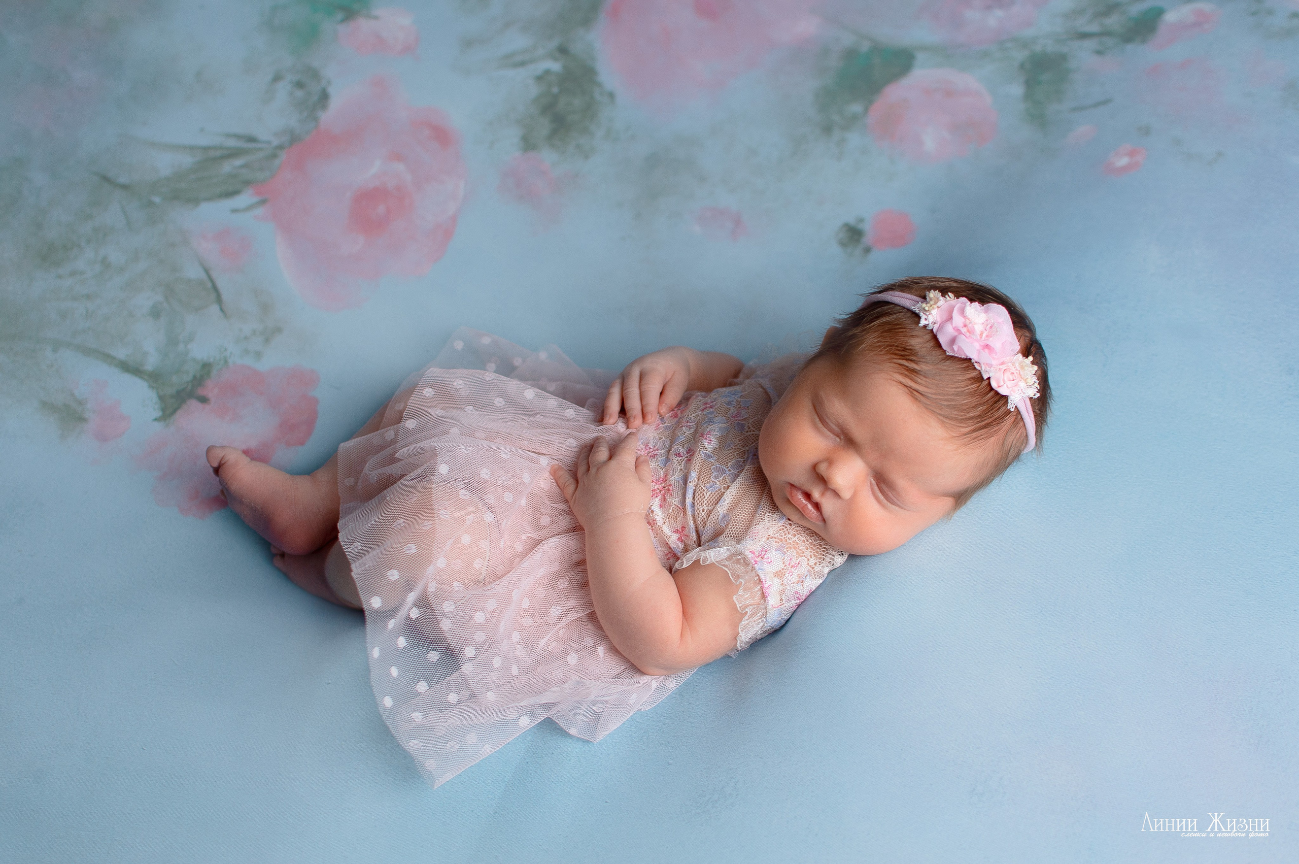 Ксения 7 дней. Фотограф новорожденных в Нижнем Новгороде Сергеева Оксана