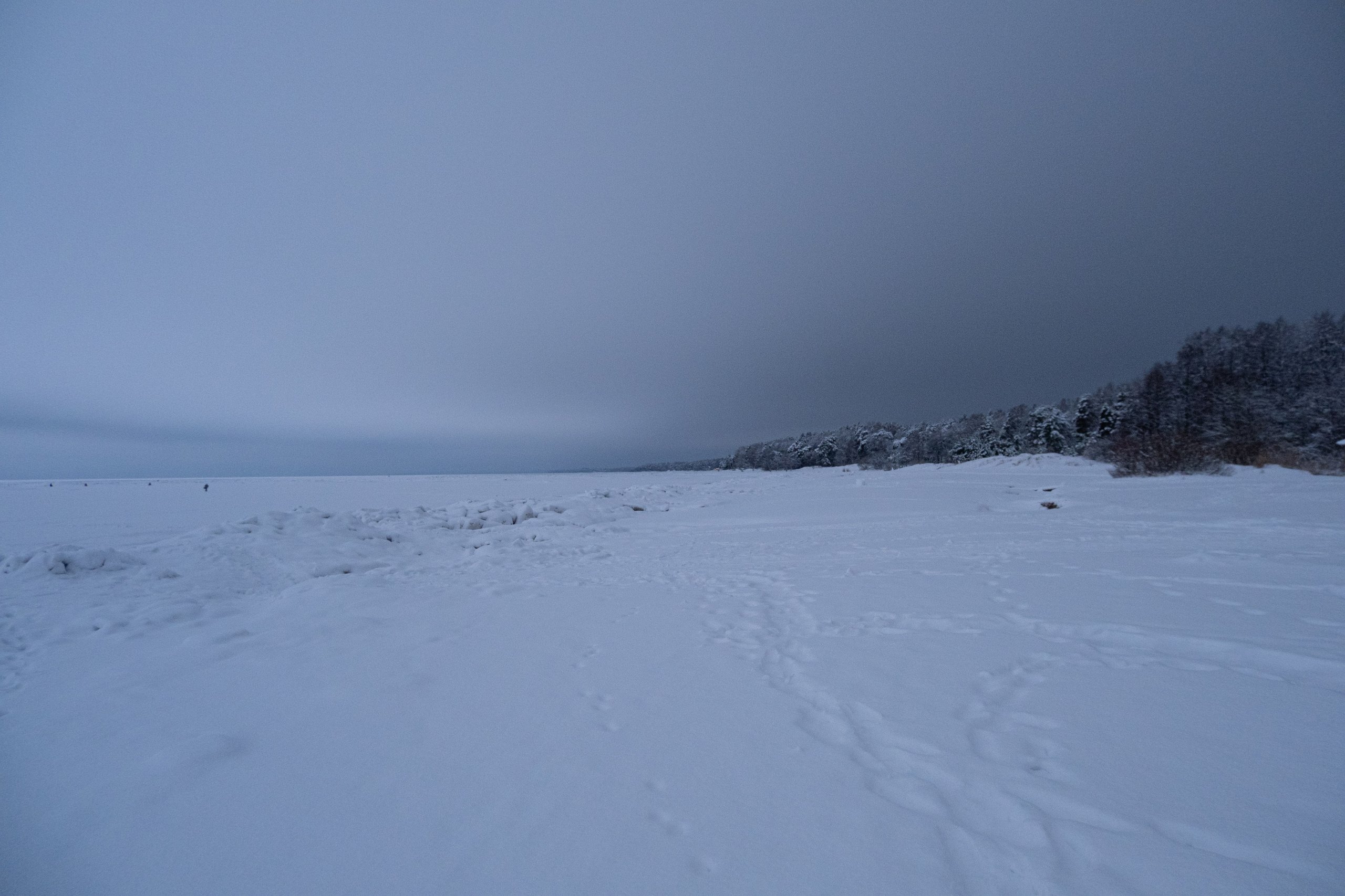 Комарово. Портретный и архитектурный фотограф в Москве и Санкт-Петербурге