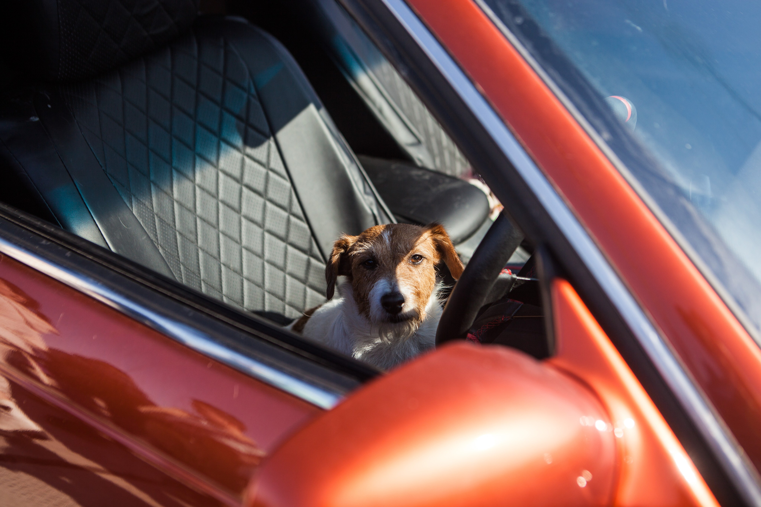 Репортажи. Фотограф и оператор Роман Фадеев в Екатеринбурге