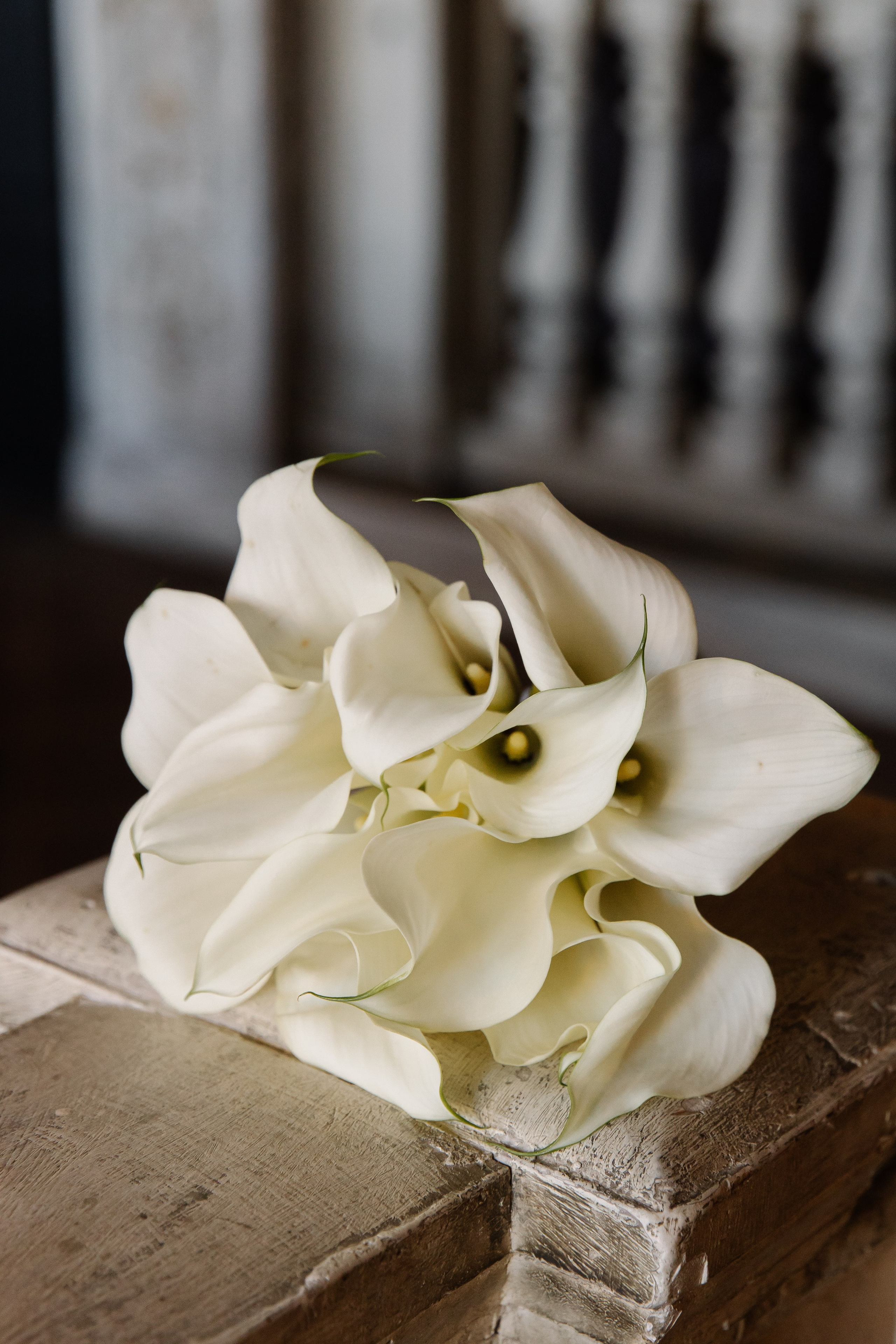 Егор и Юлия (Фонд Культуры). СВАДЕБНЫЙ ФОТОГРАФ ЧЕЛЯБИНСК