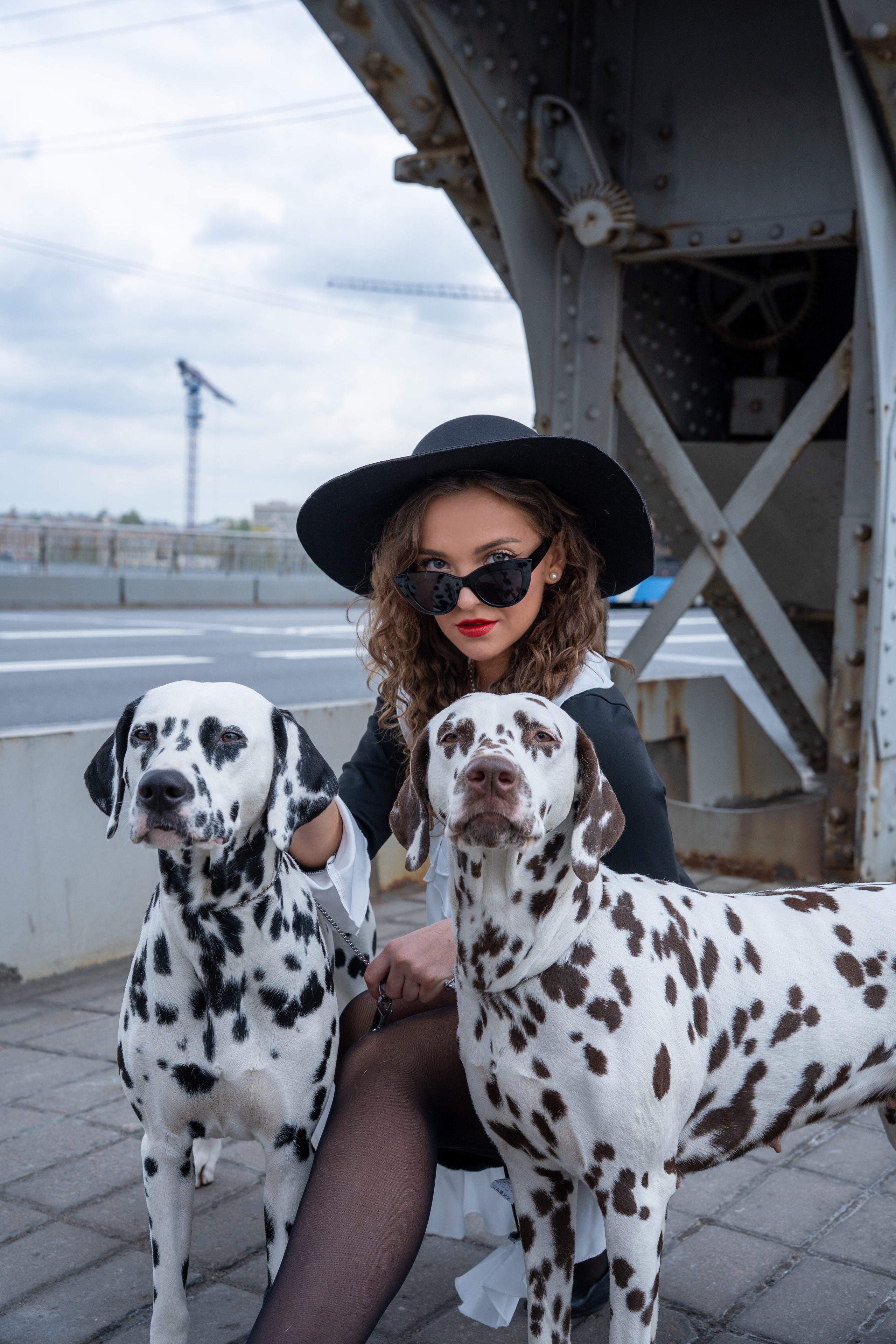 Фотосессия с долматинцами