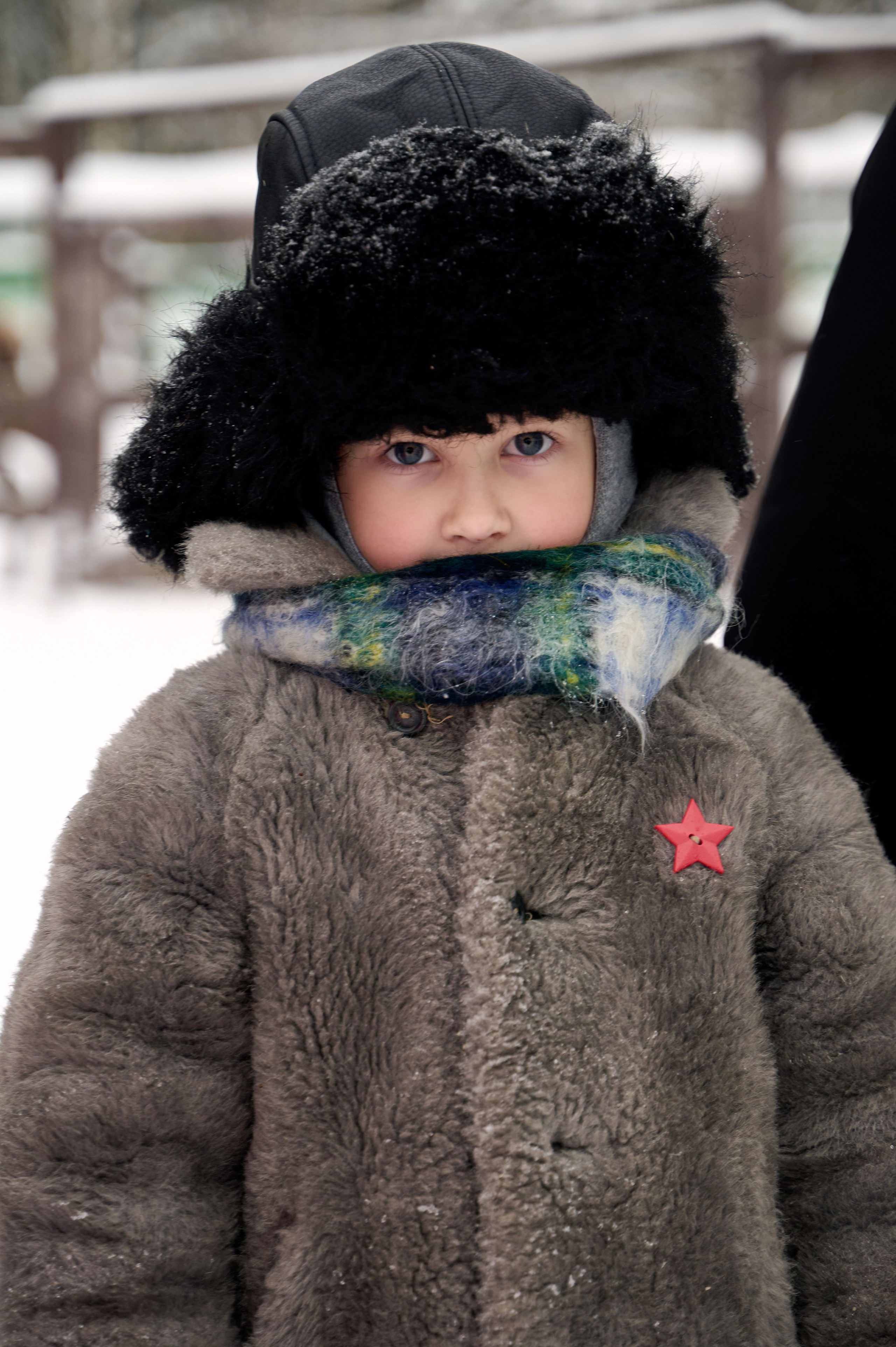 Северный олень. Фотограф Егорьевск Коломна Воскресенск