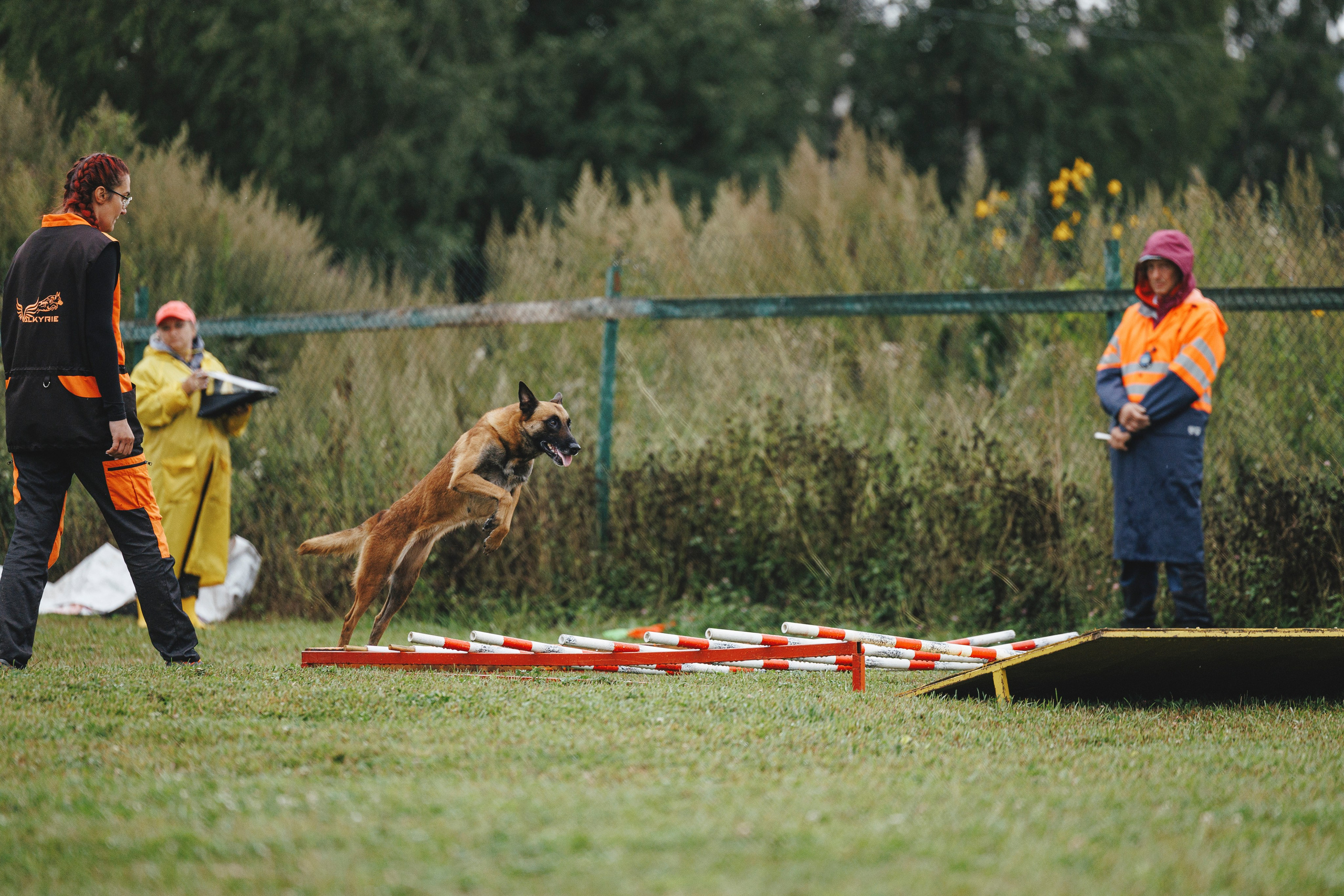 08.08.25-10.08.25 ЧР по мондьорингу г. Вологда. Фотограф-анималист Анна Маринич