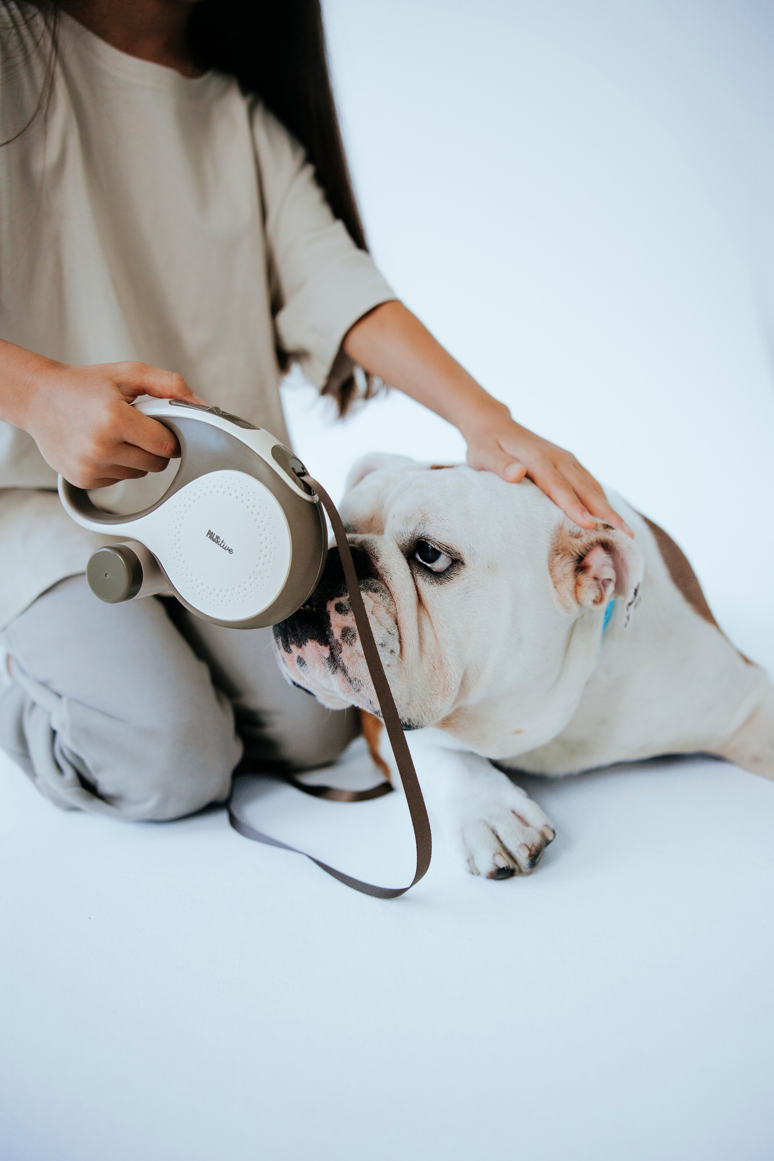 Pawsitive рулетки. Анастасия Белаш