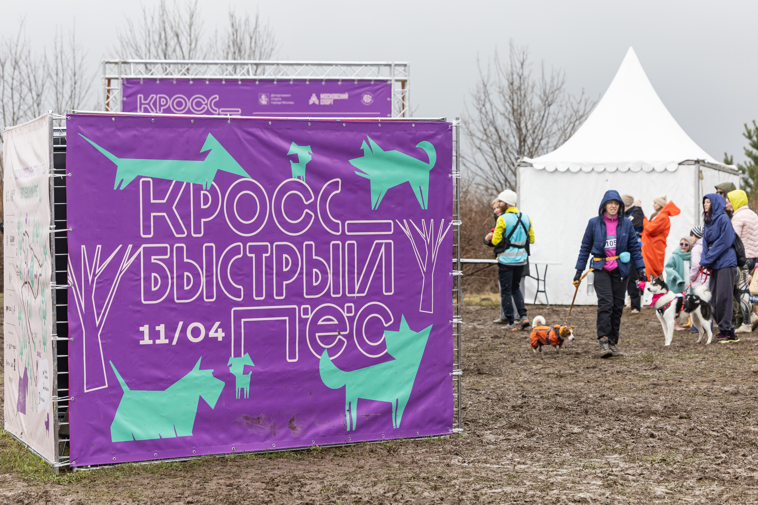 Кросс «Быстрый пёс» в Битцевском лесу. Фотограф Владимир Охрименко