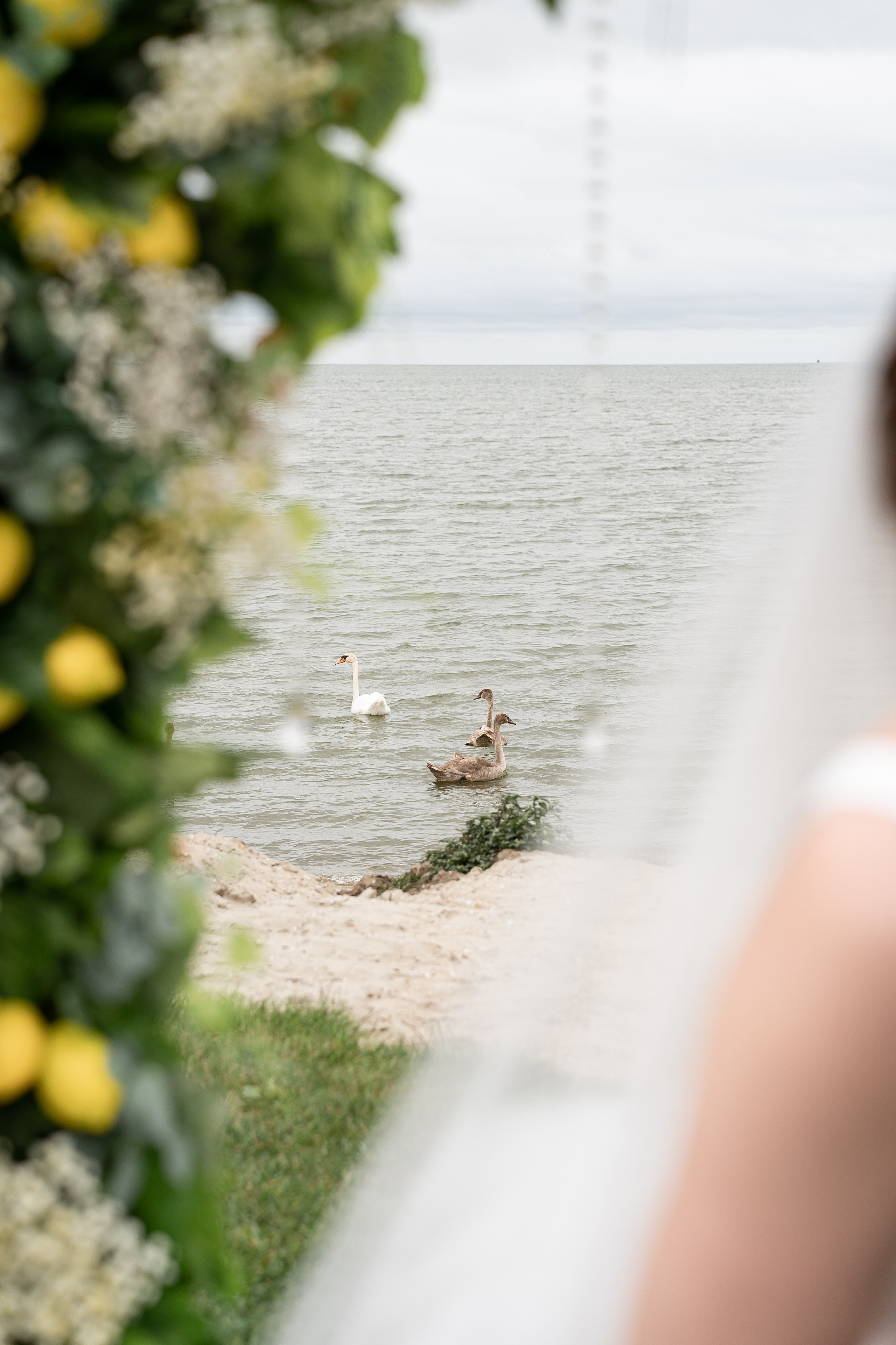 Маргарита & Рафаэль 12.09.2024. Свадебный Фотограф Илья Чепайкин. Калининград