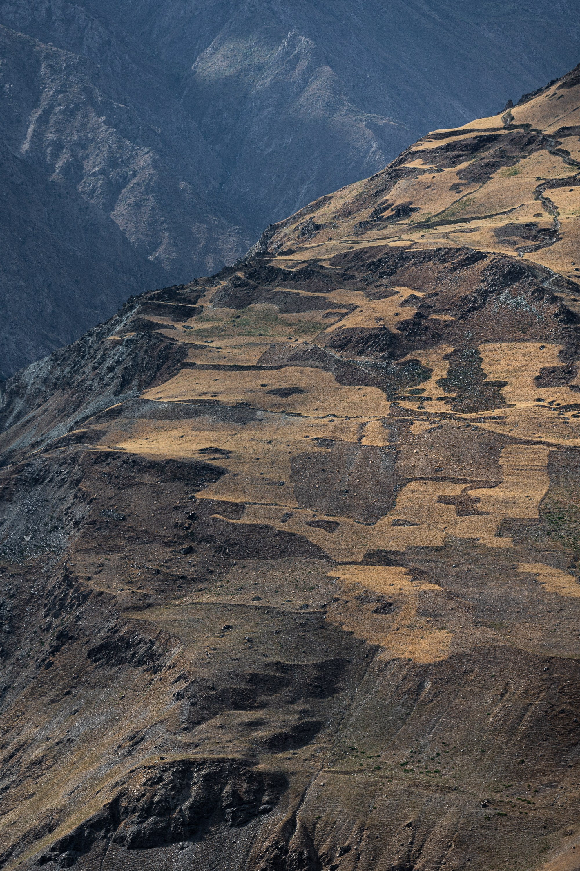 Таджикистан. Добродеева Алла фотограф, Москва