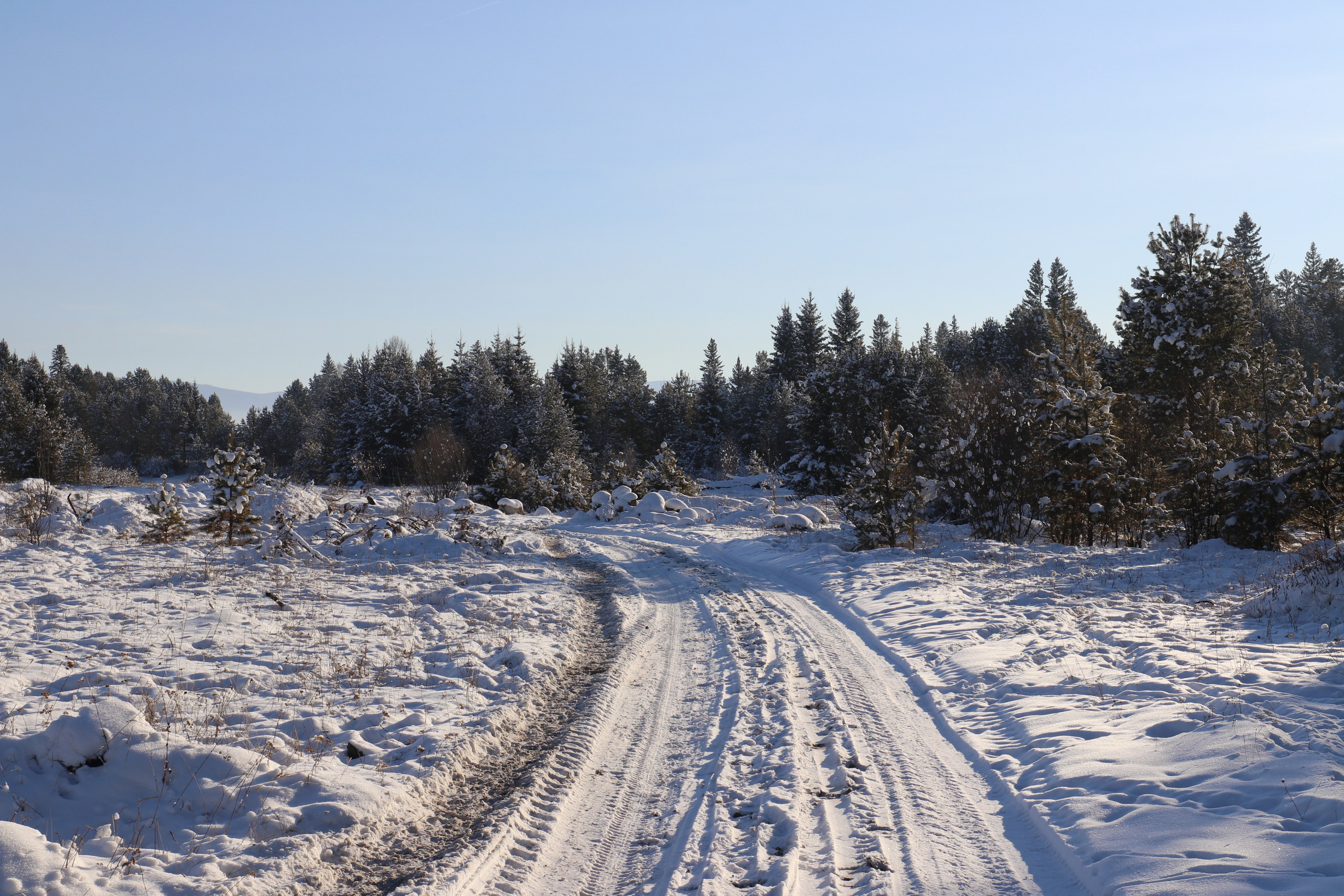 Аршан. Январь 2022. Путешественник-фотограф из Санкт-Петербурга Татьяна Свистулина