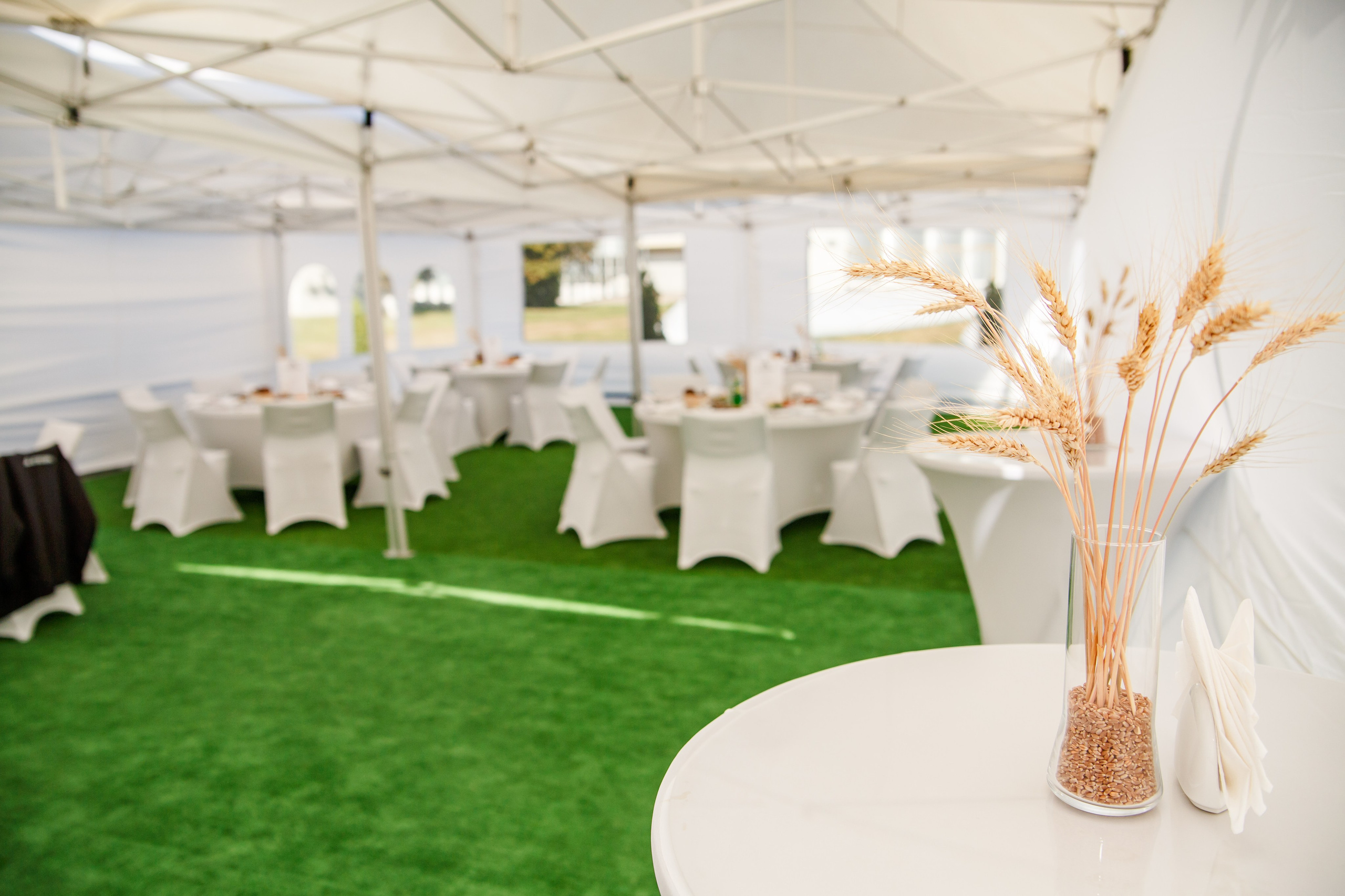 Агротерра. Фотограф Яков Поспехов