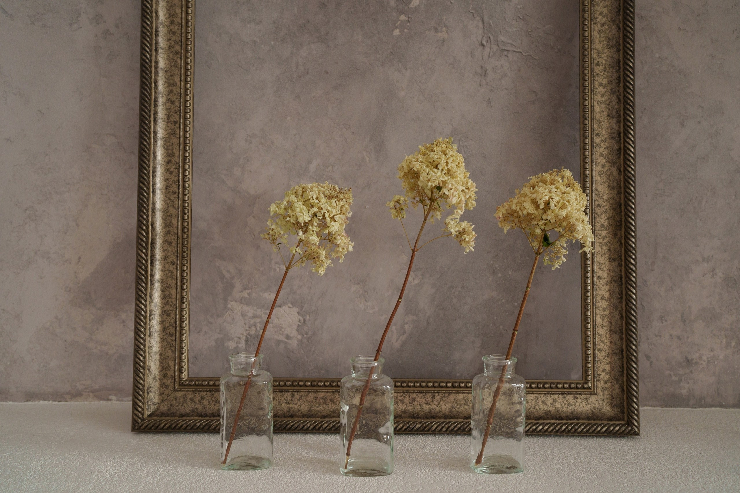 Студия Мун зал Классический, 1800 руб. в час. Классный фотограф Красноярска Васильева Ирина