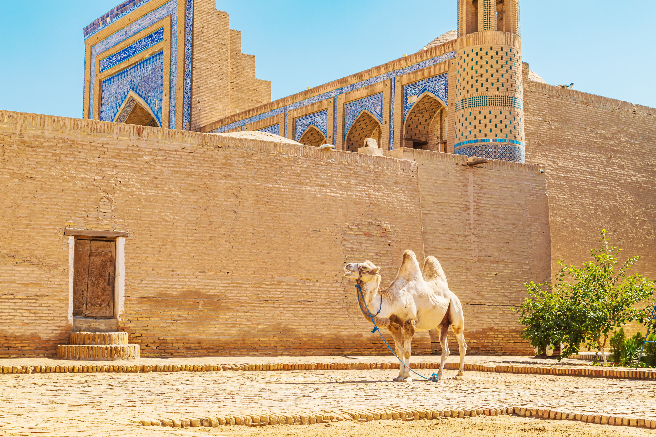 Узбекистан. Тревел-фотограф Елизавета Ларионова