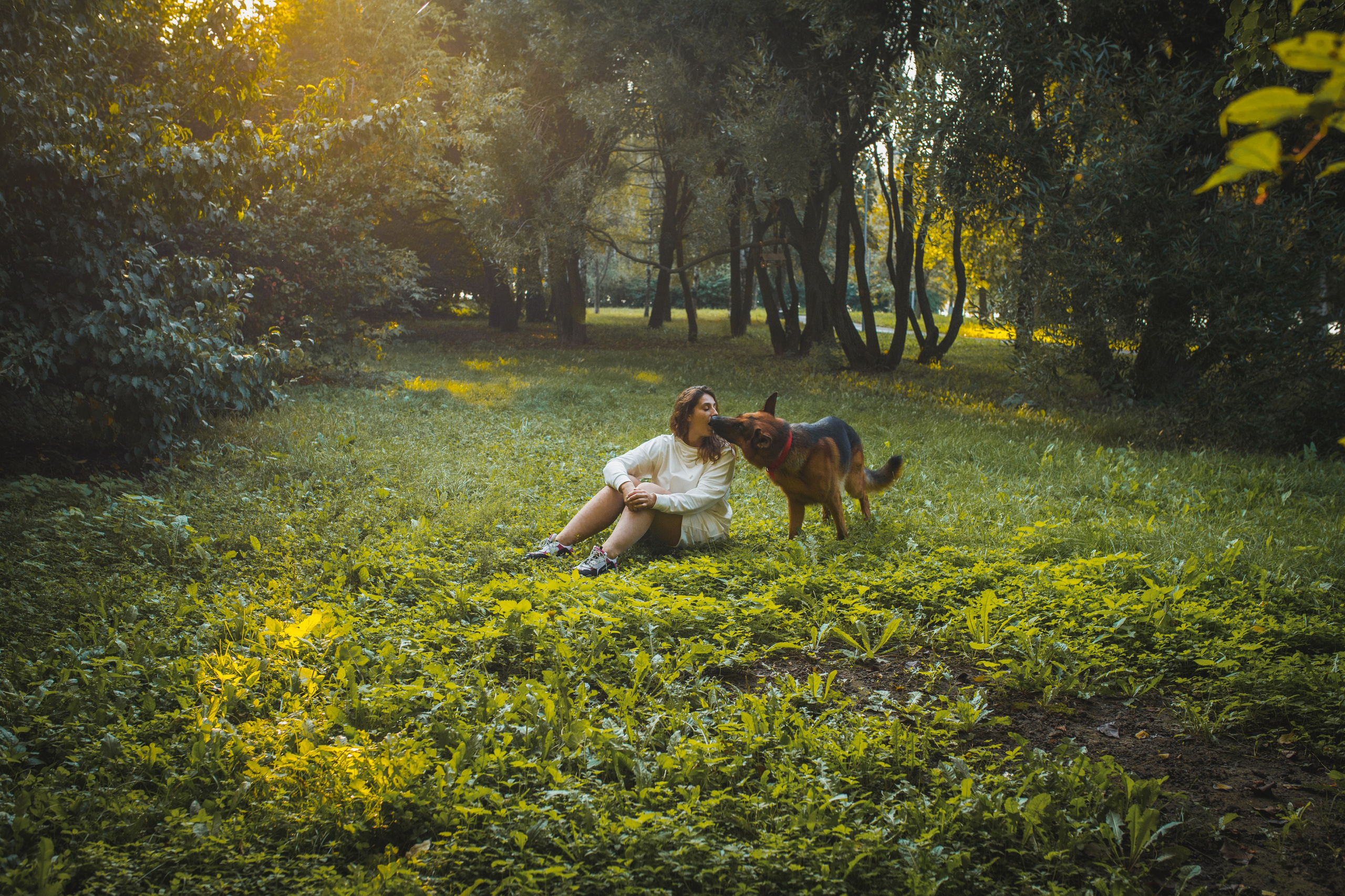 Фотопрогулка молодой девушки и ее собаки летним утром в парке. Семейный и школьный фотограф в Москве Анна Ткач
