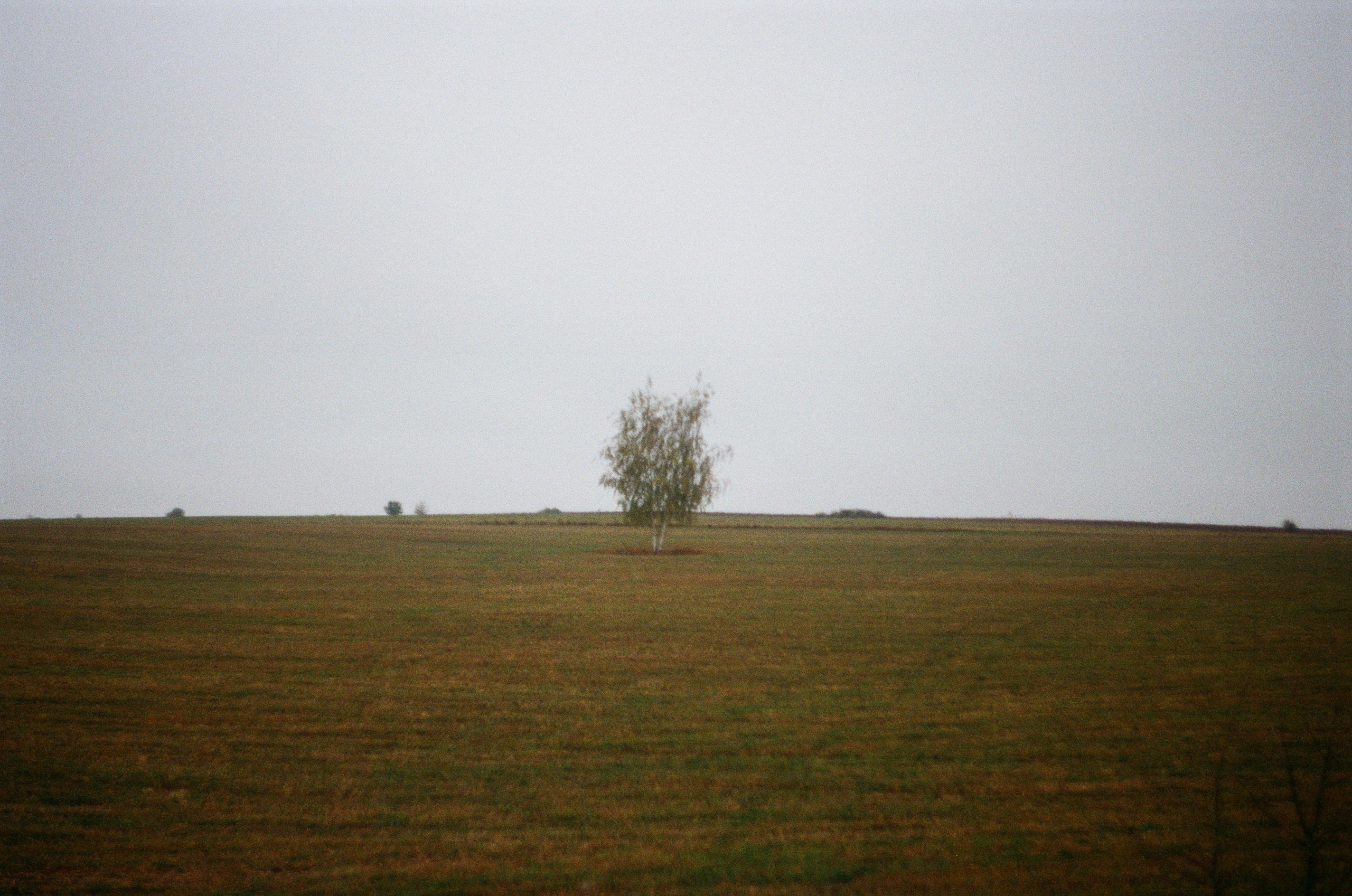 Снято на пленку. Семейный LIFESTYLE фотограф в Москве