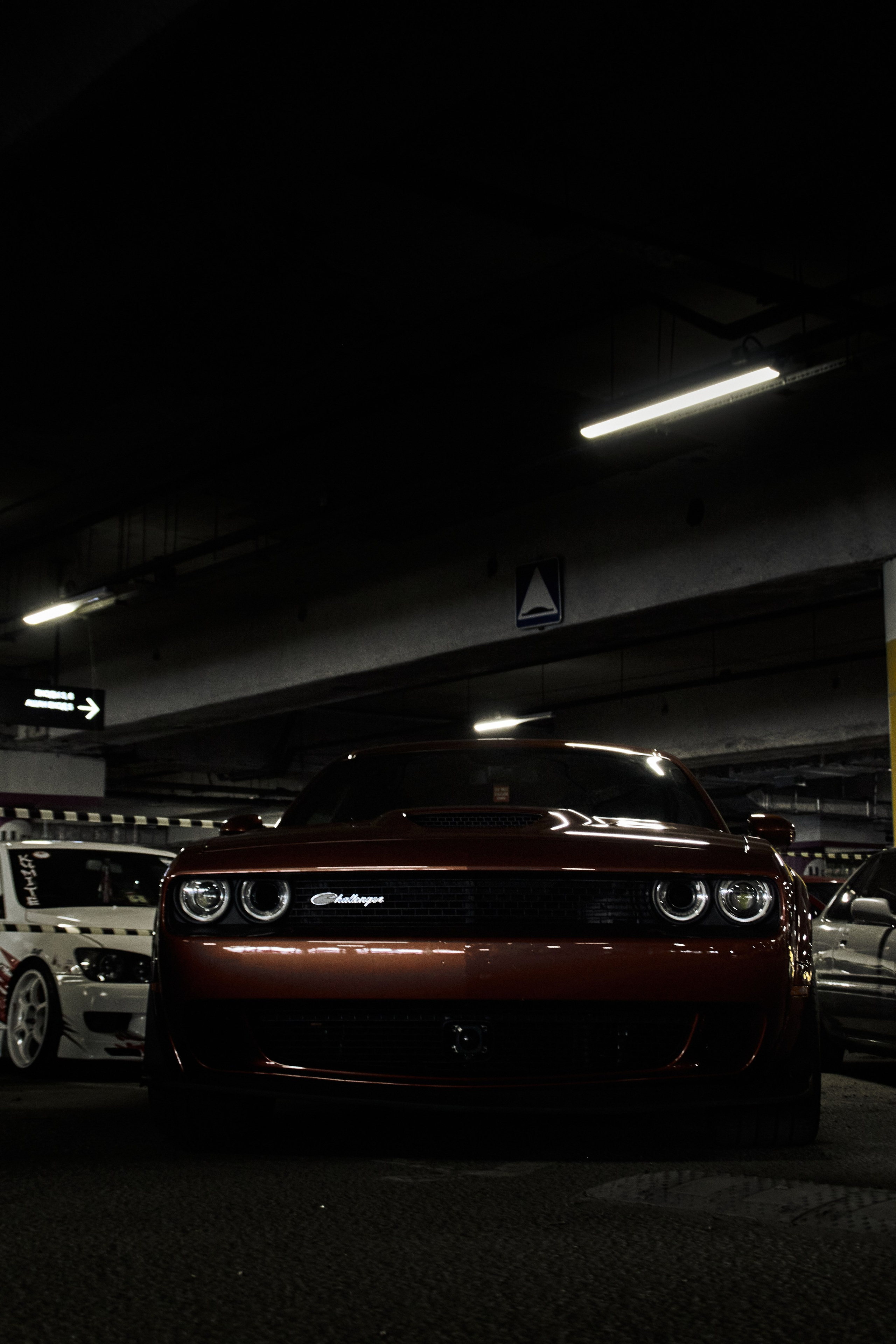 DNB 24. Фотограф Александр Рауш