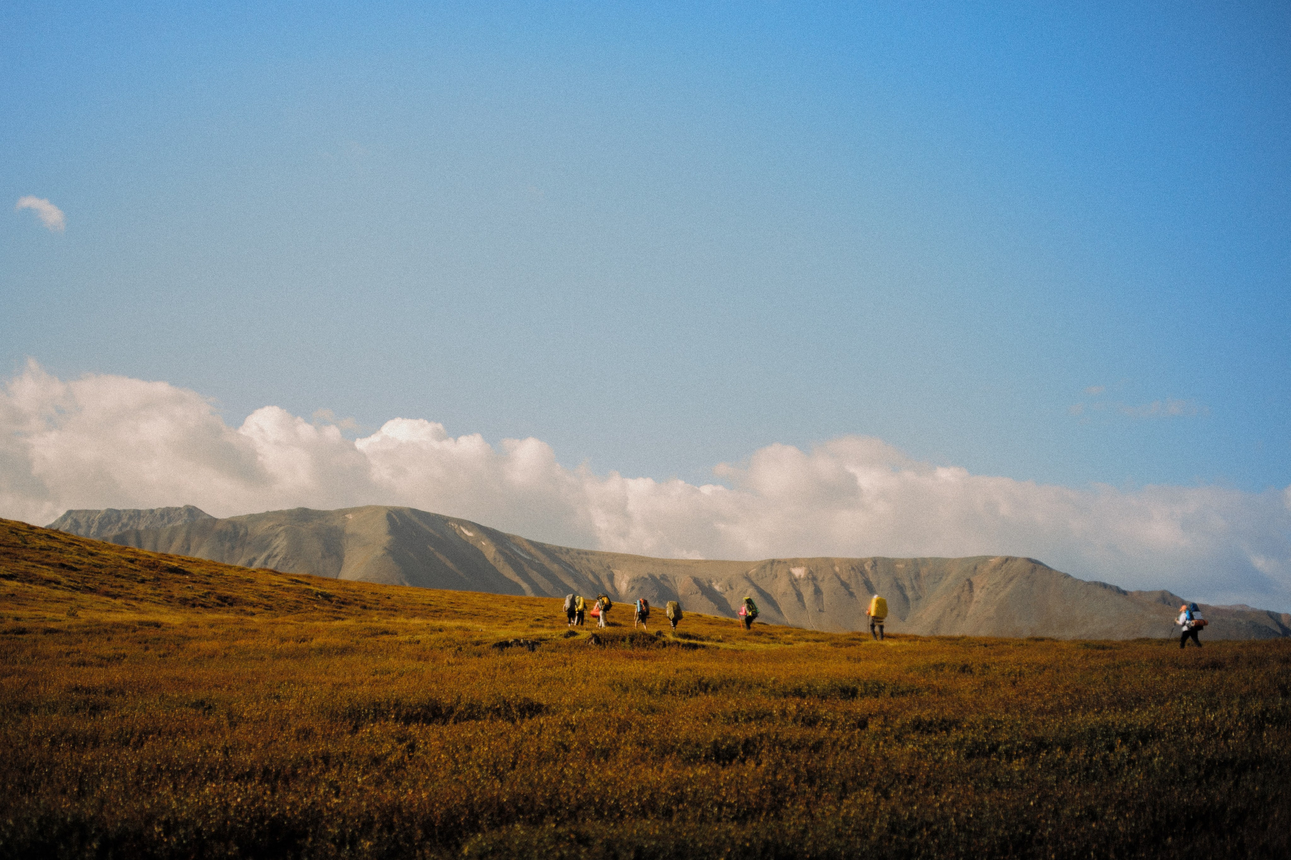 Шавлинские. Главная