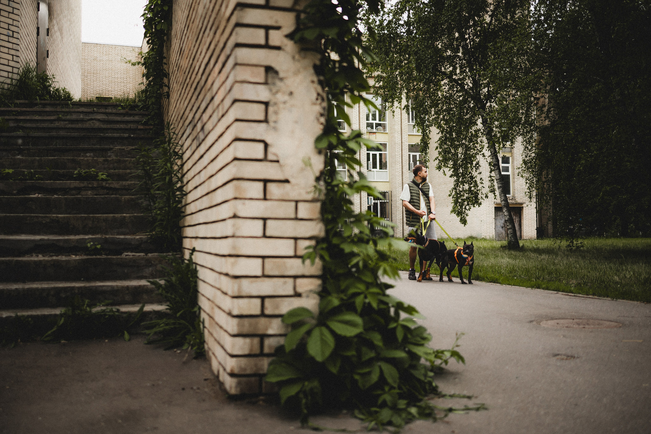 Паша, Хайди и Тея