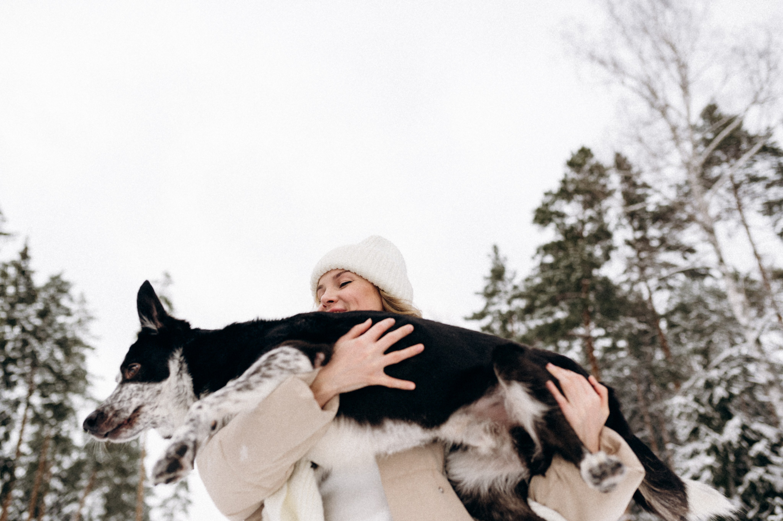 Аня и Милан. Фотограф анималист в Москве Ольга Агушева