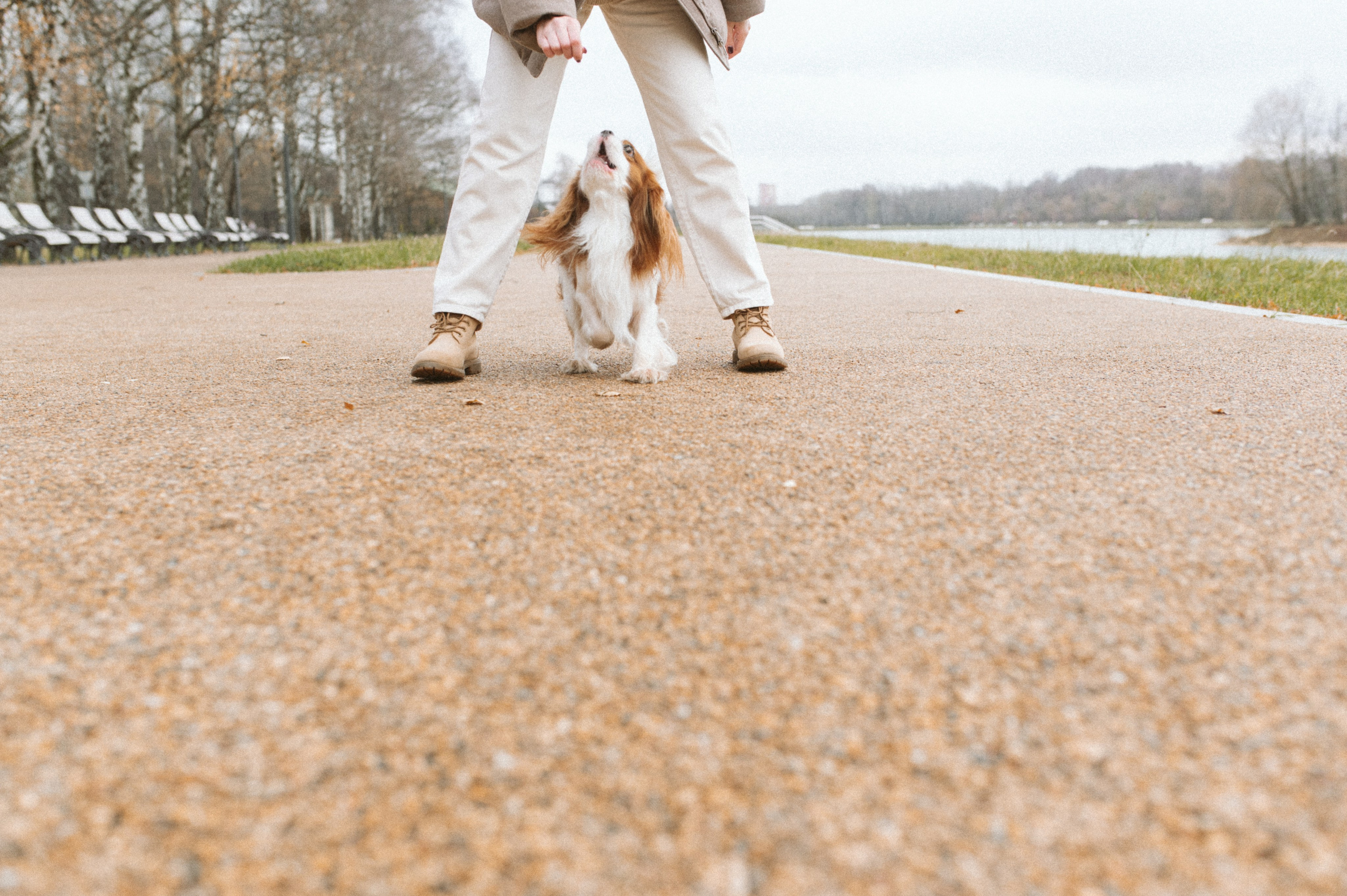 Настя и Тэйлор. Фотограф анималист в Москве Ольга Агушева