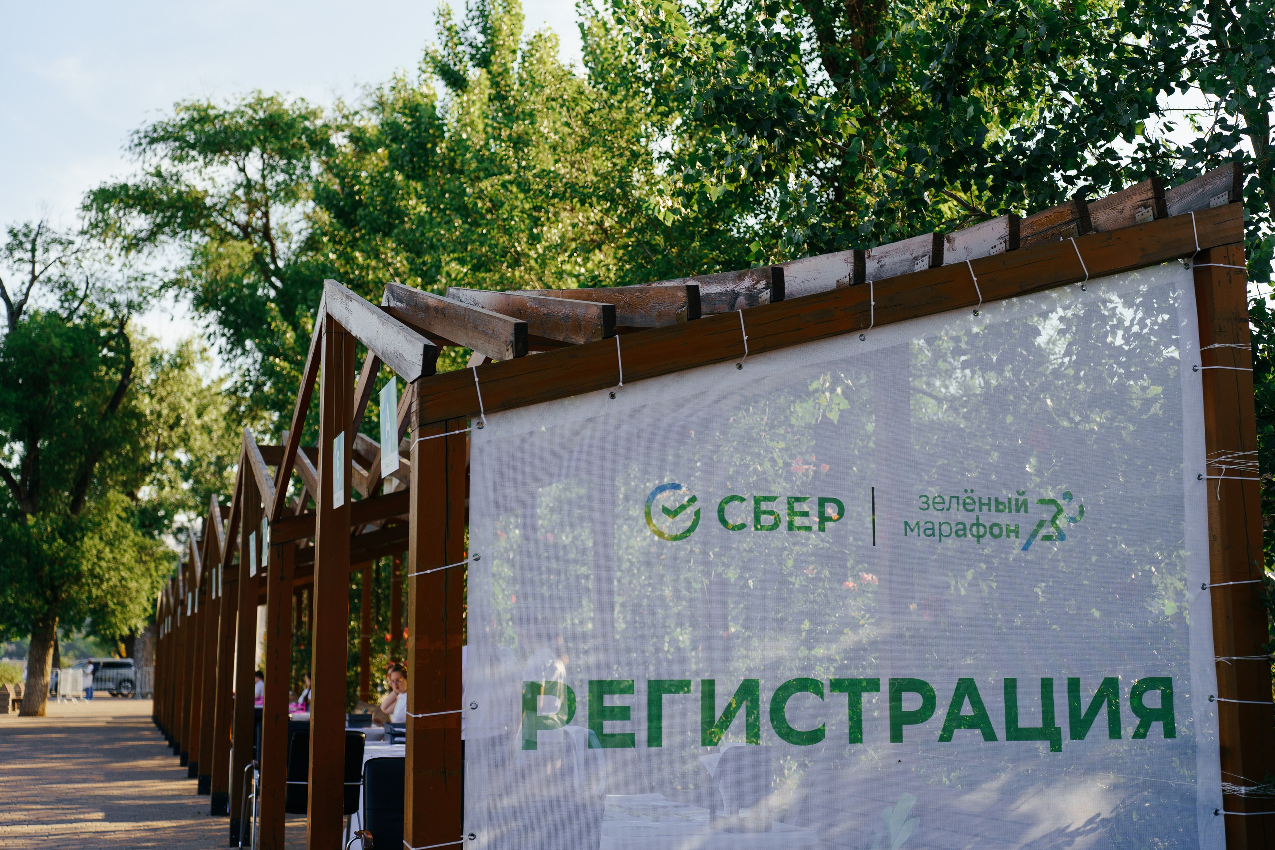 Зеленый марафон. ФОТОГРАФ ИВАН СЕЛИВАНОВ