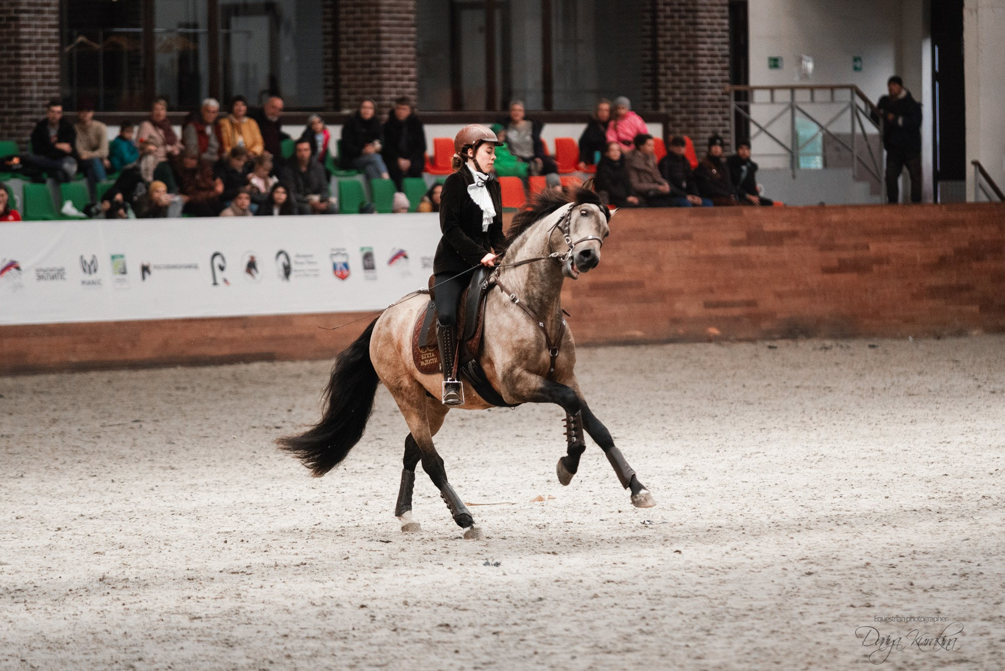 8-я международная выставка Конная Россия. Конный фотограф Куракина Дарья • Фотосессии с лошадьми