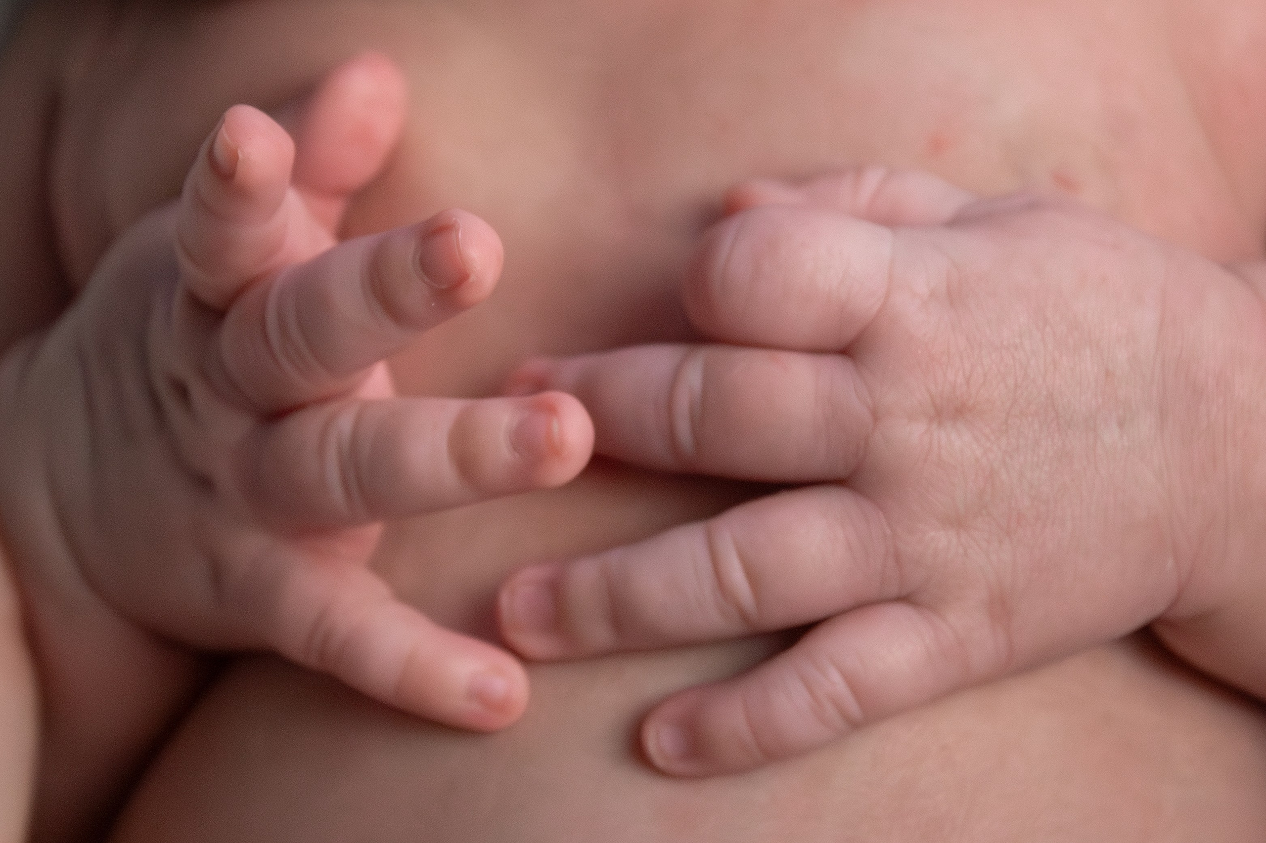 Newborn. Фотограф новорожденных Новосибирск